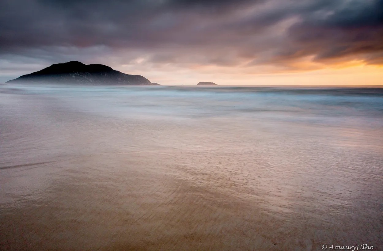 Entry 471337