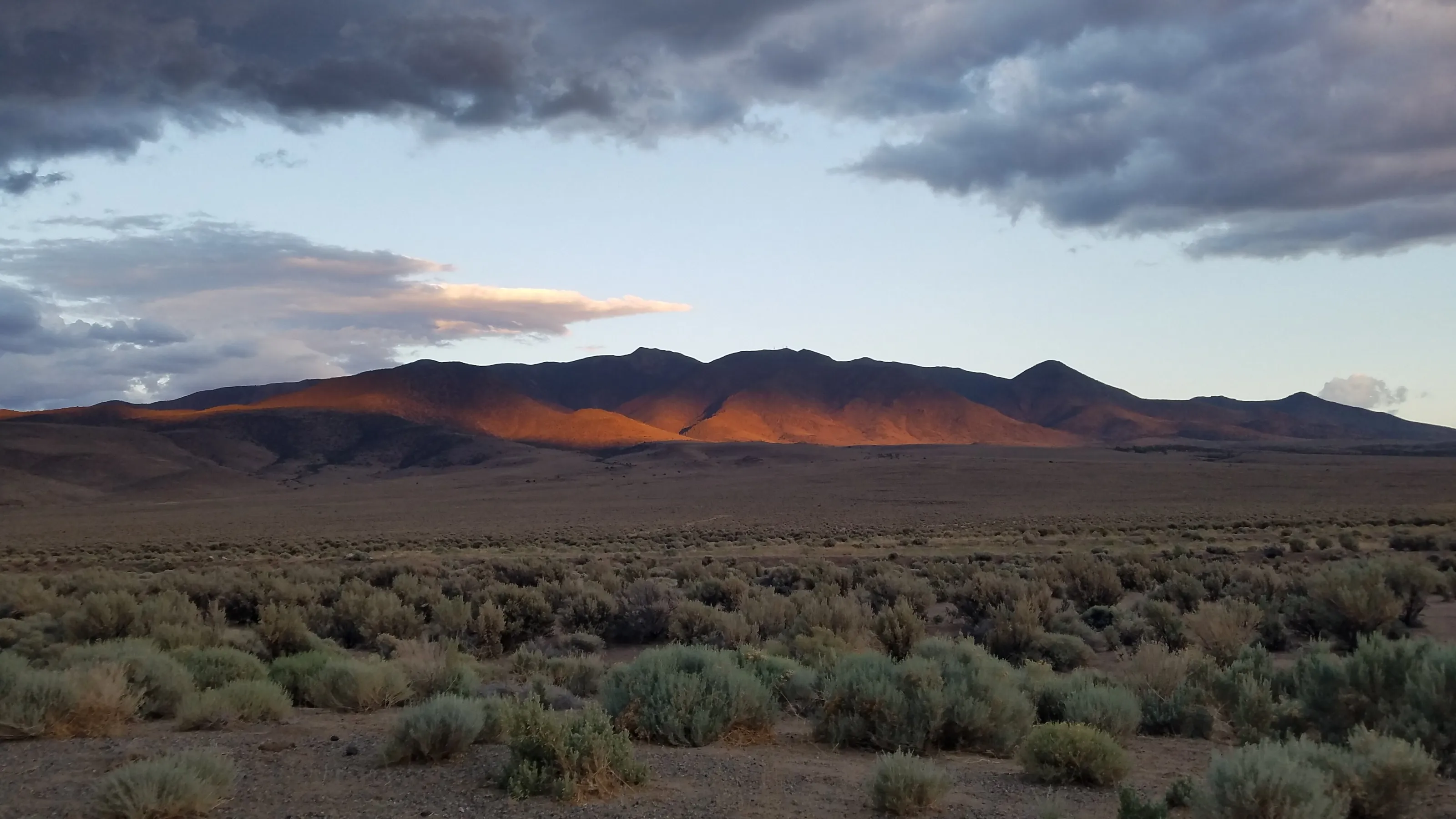 Desert Evening