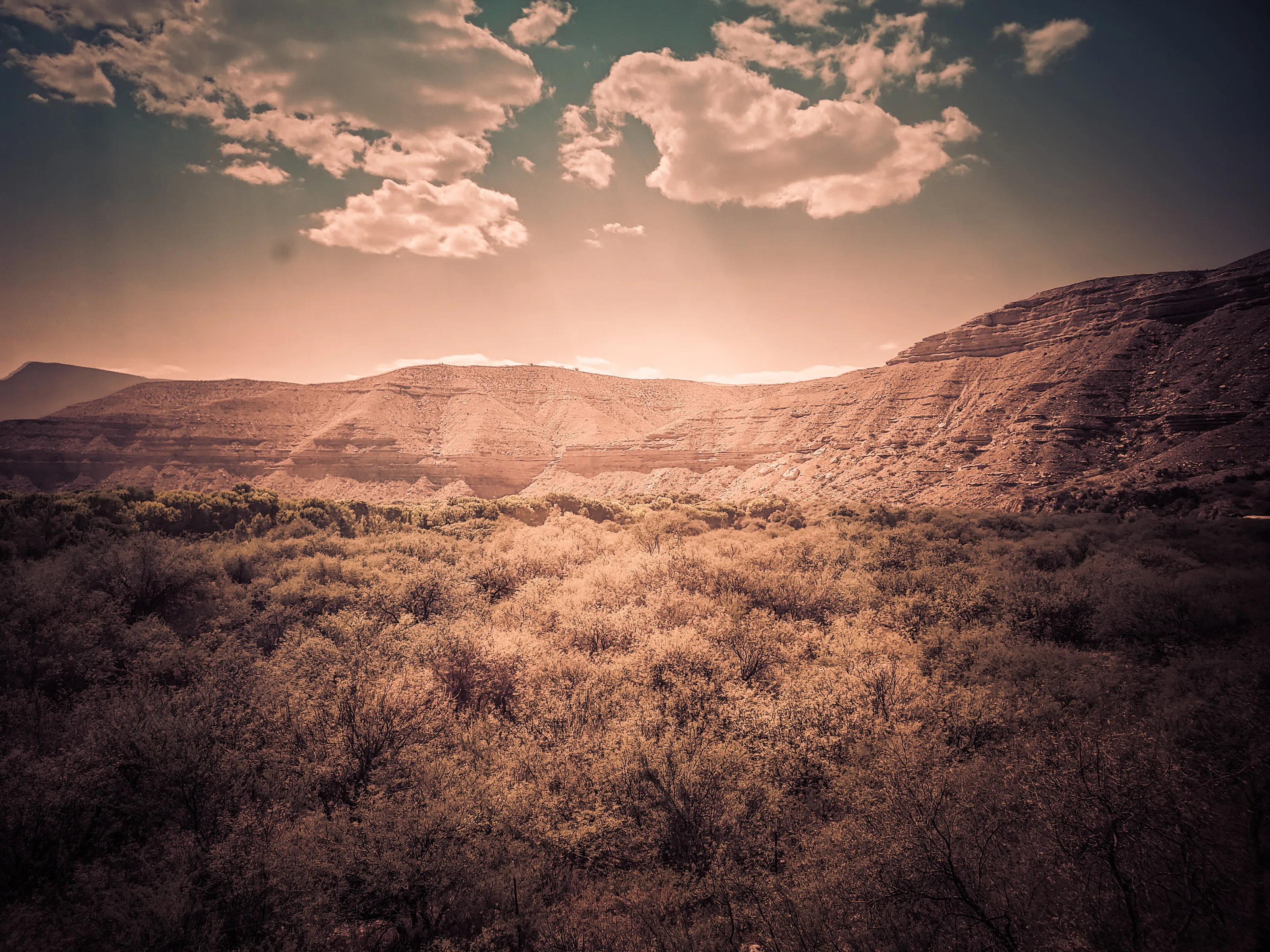Desert Sunset