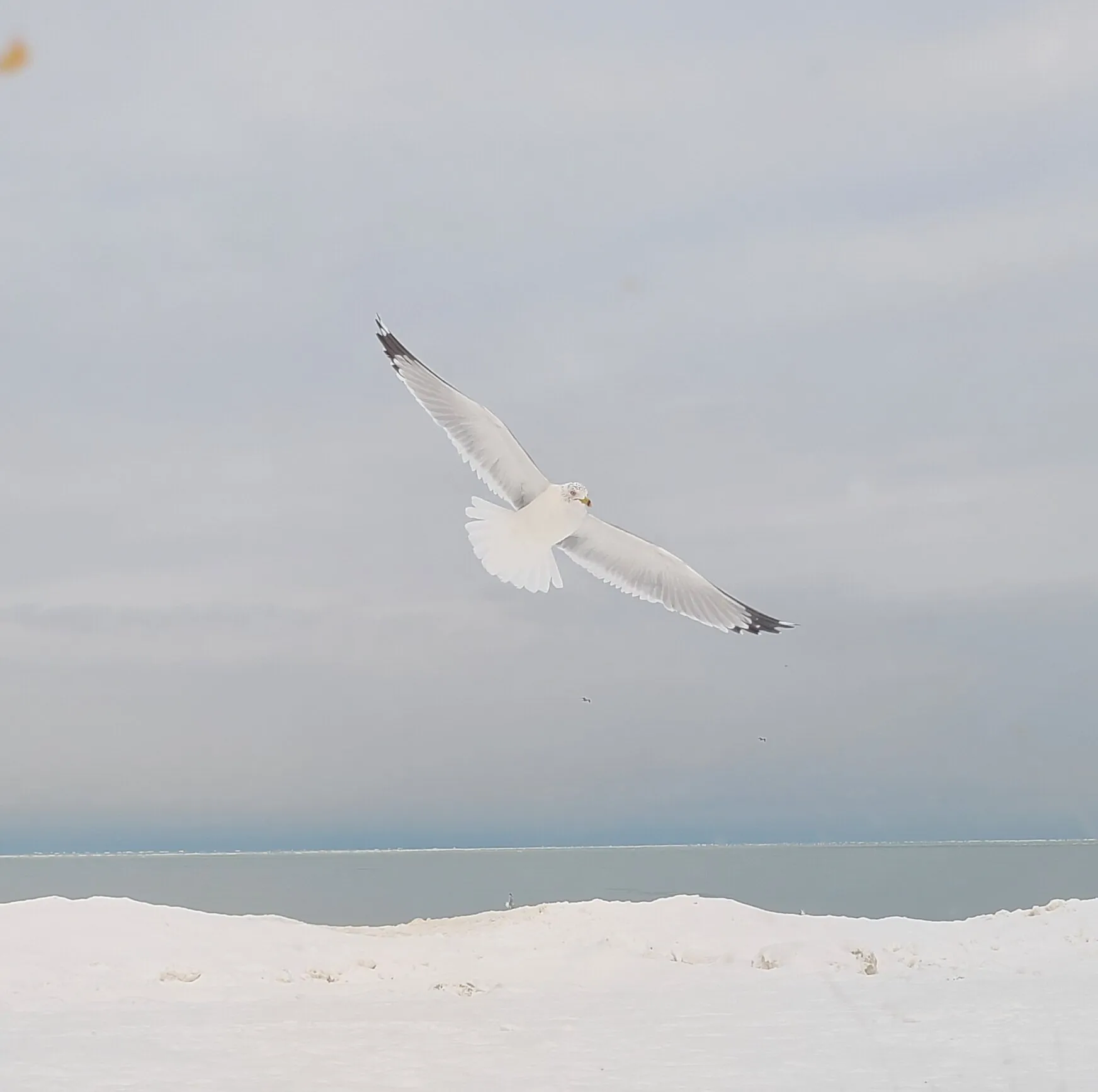 Banner image