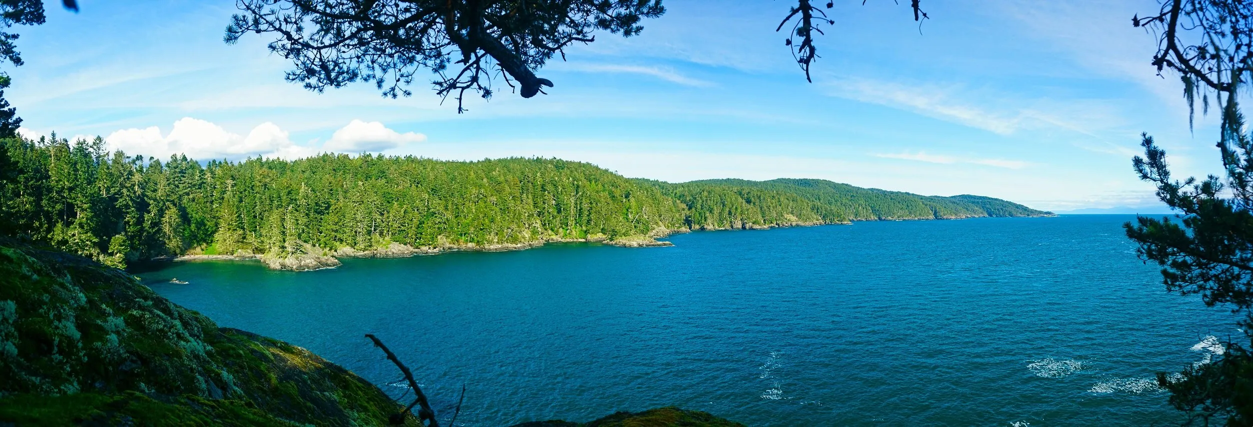Green Coast