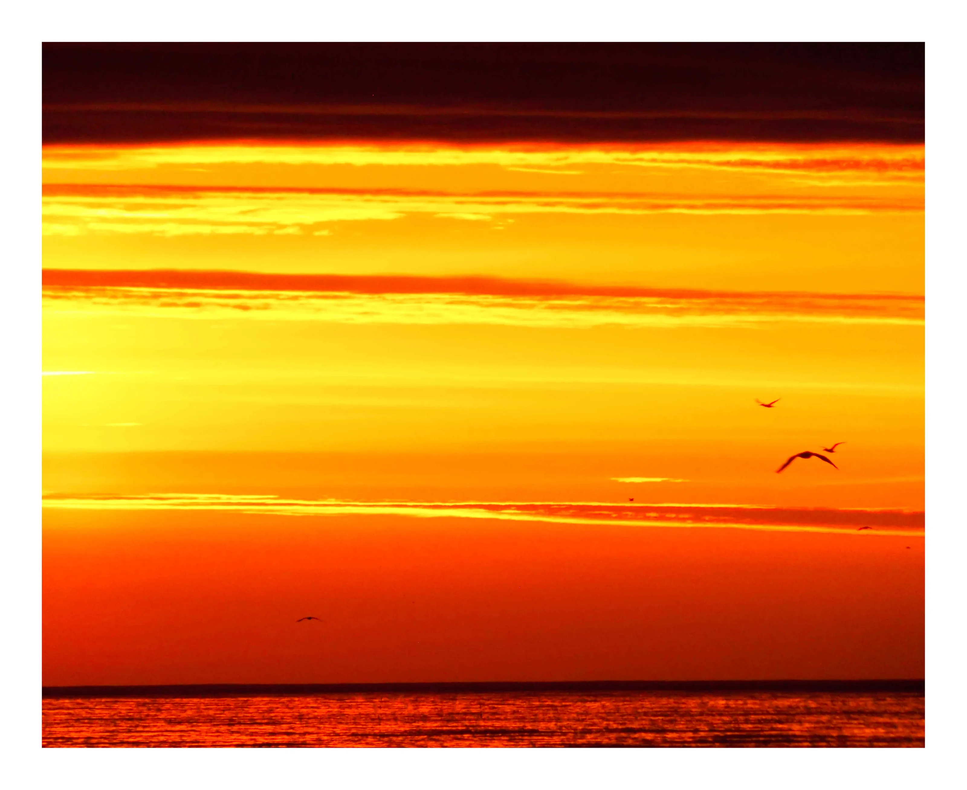 First Light