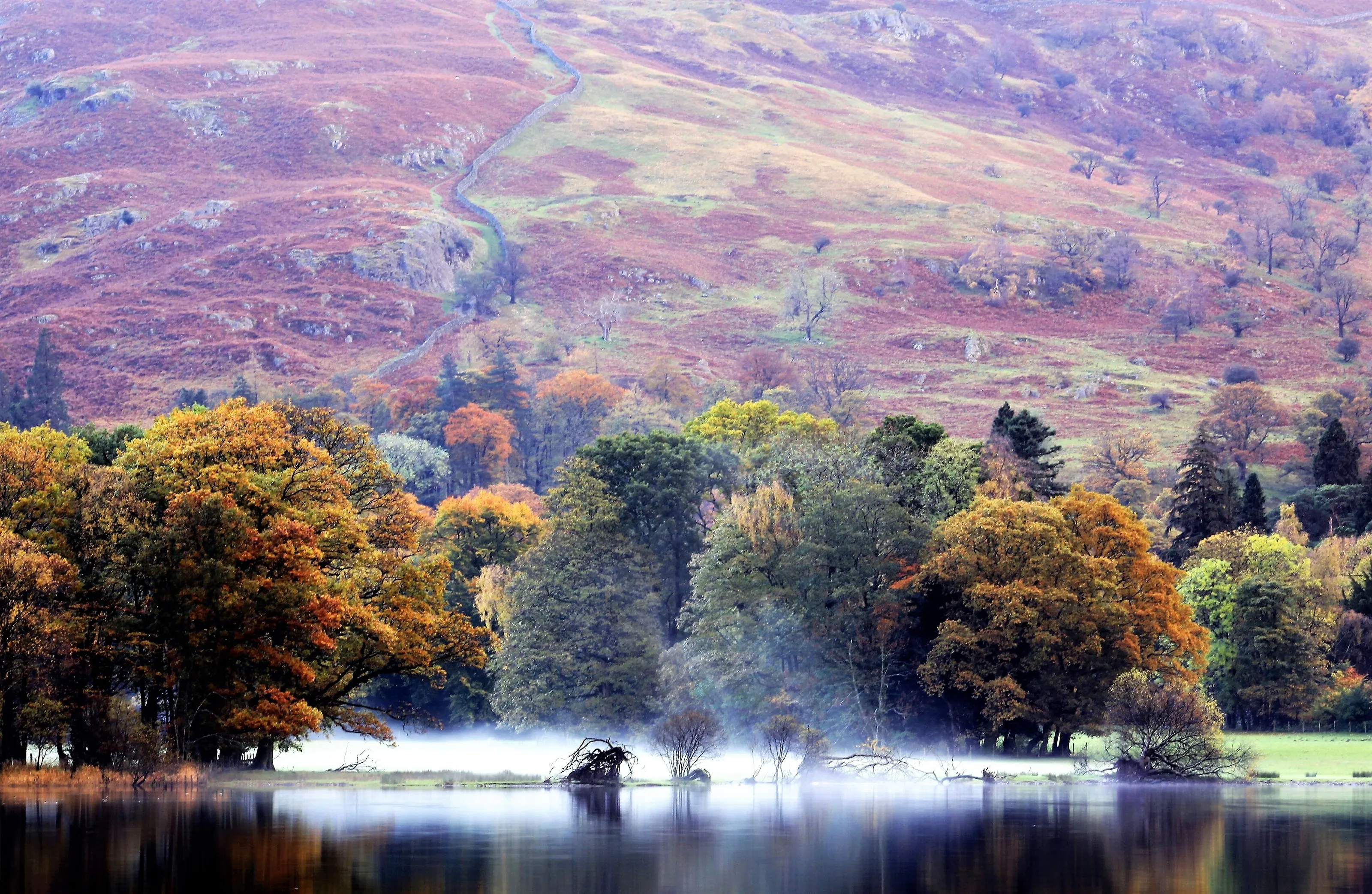 rising mist