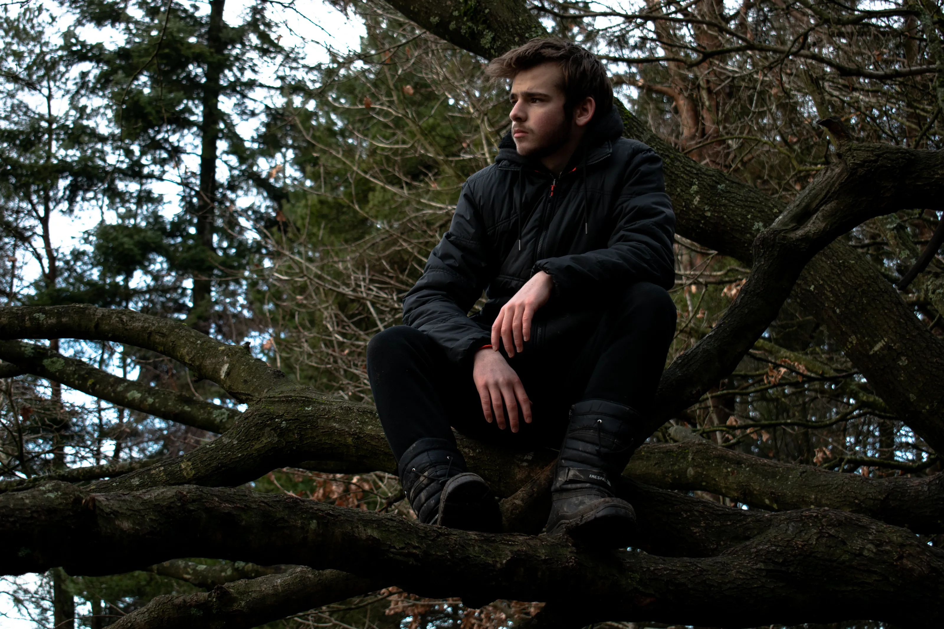 Chilling in the woods