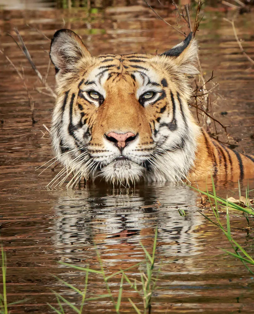Cooling Down