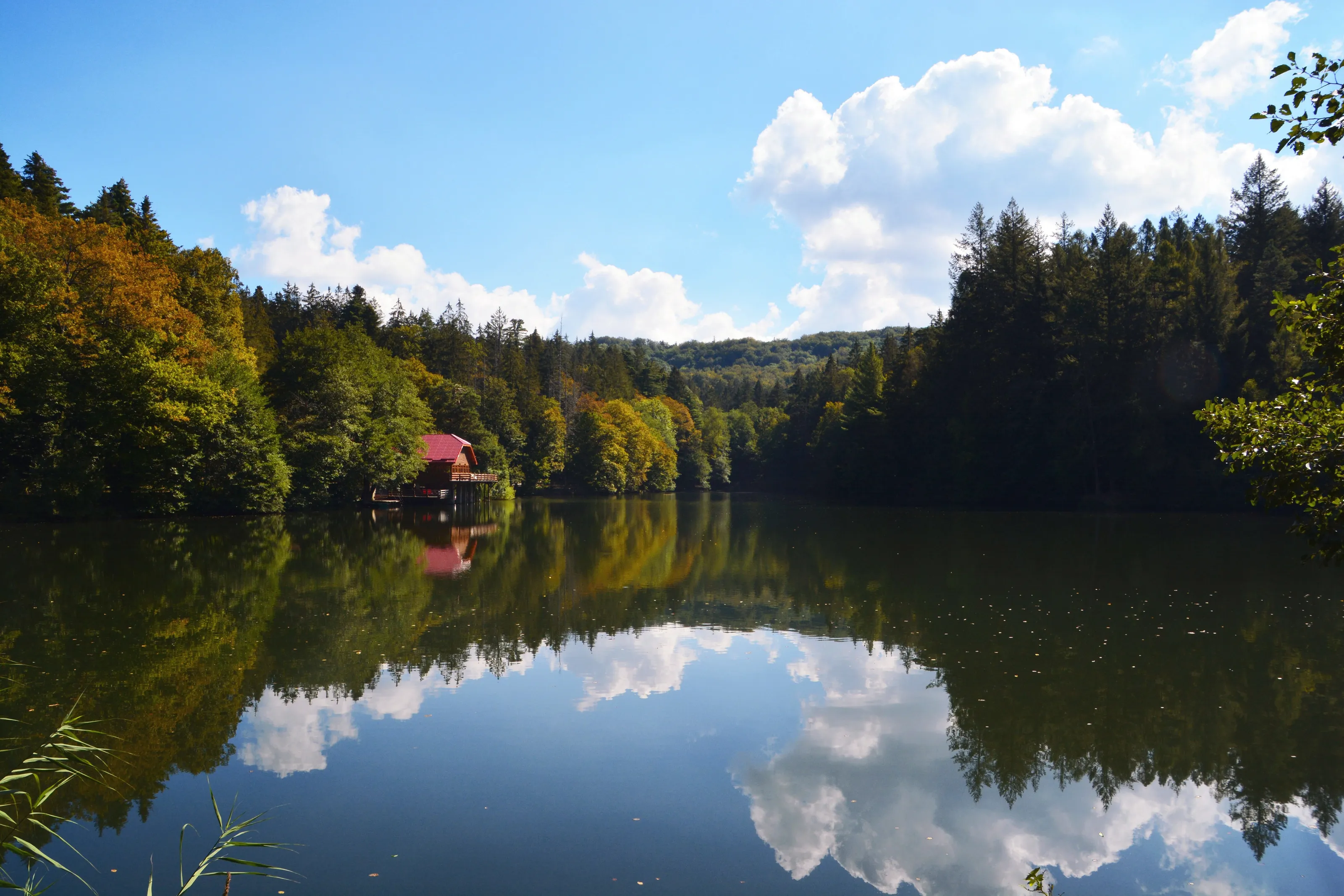 Early autumn