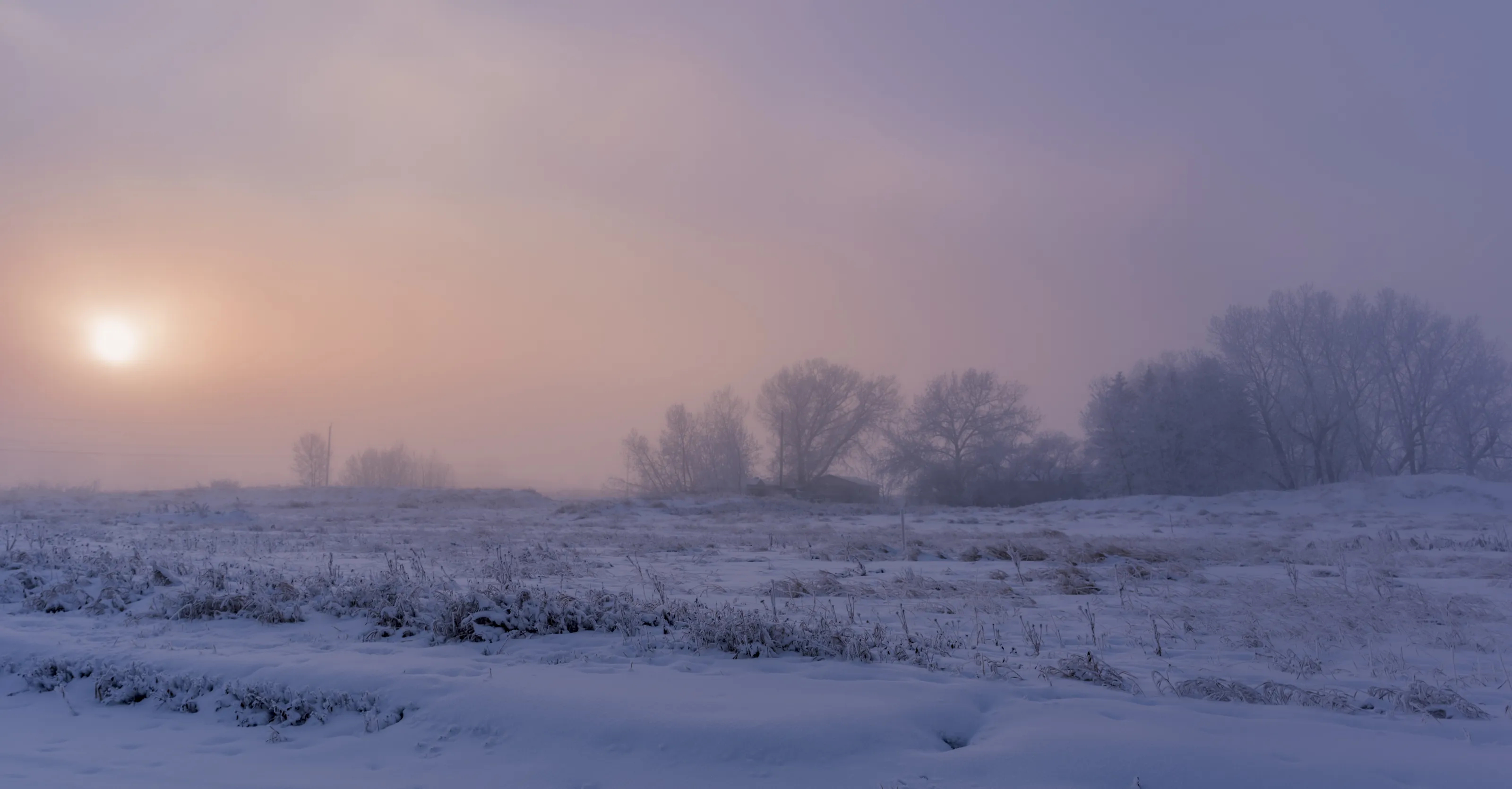 The Fog