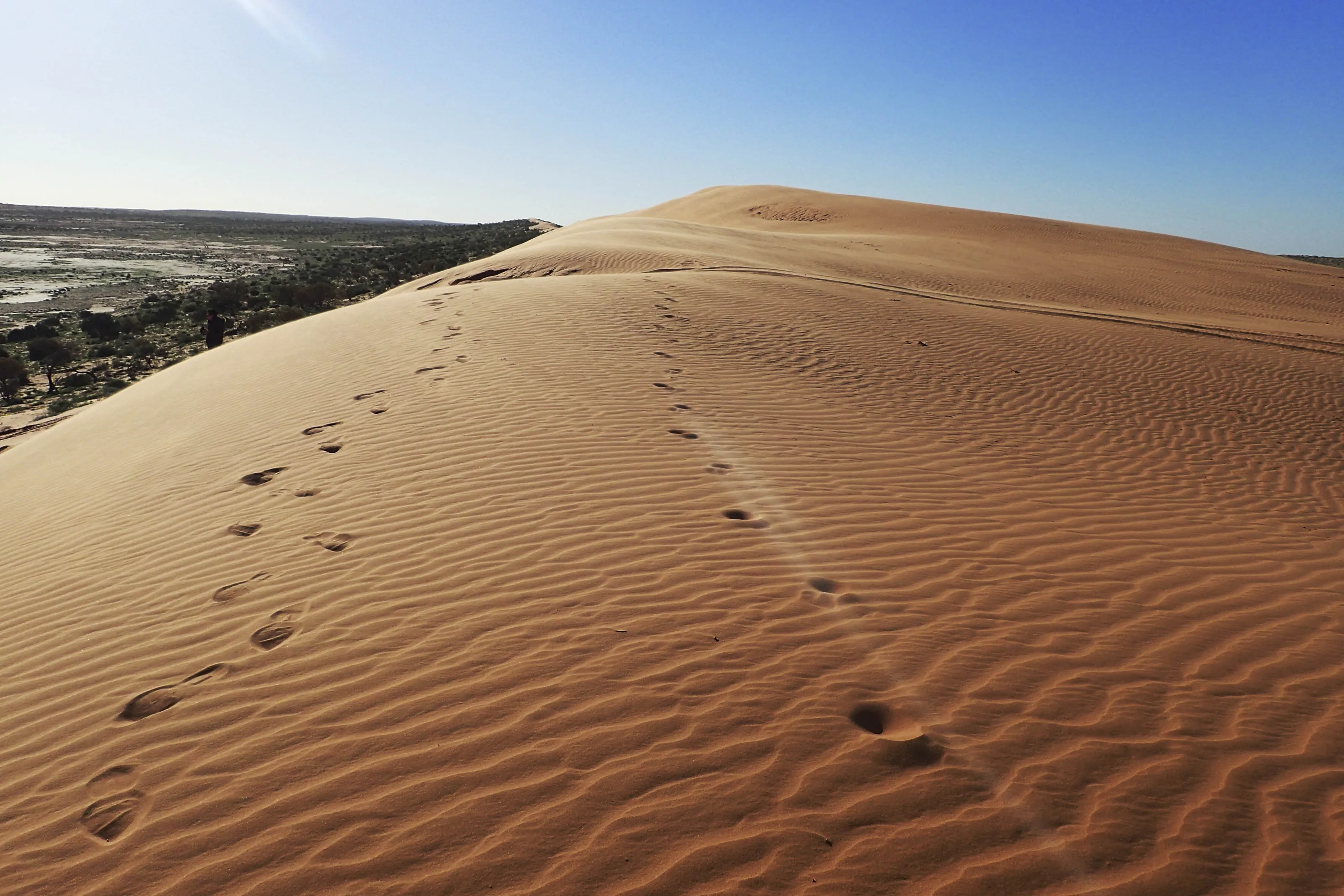 Big Red Simpson Desert