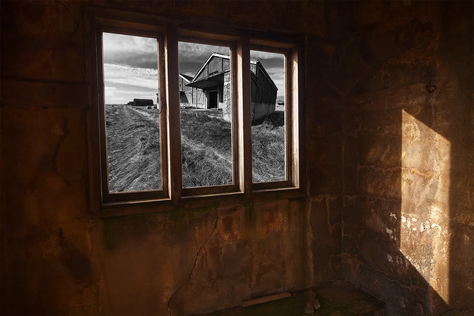 Mono Through the Window