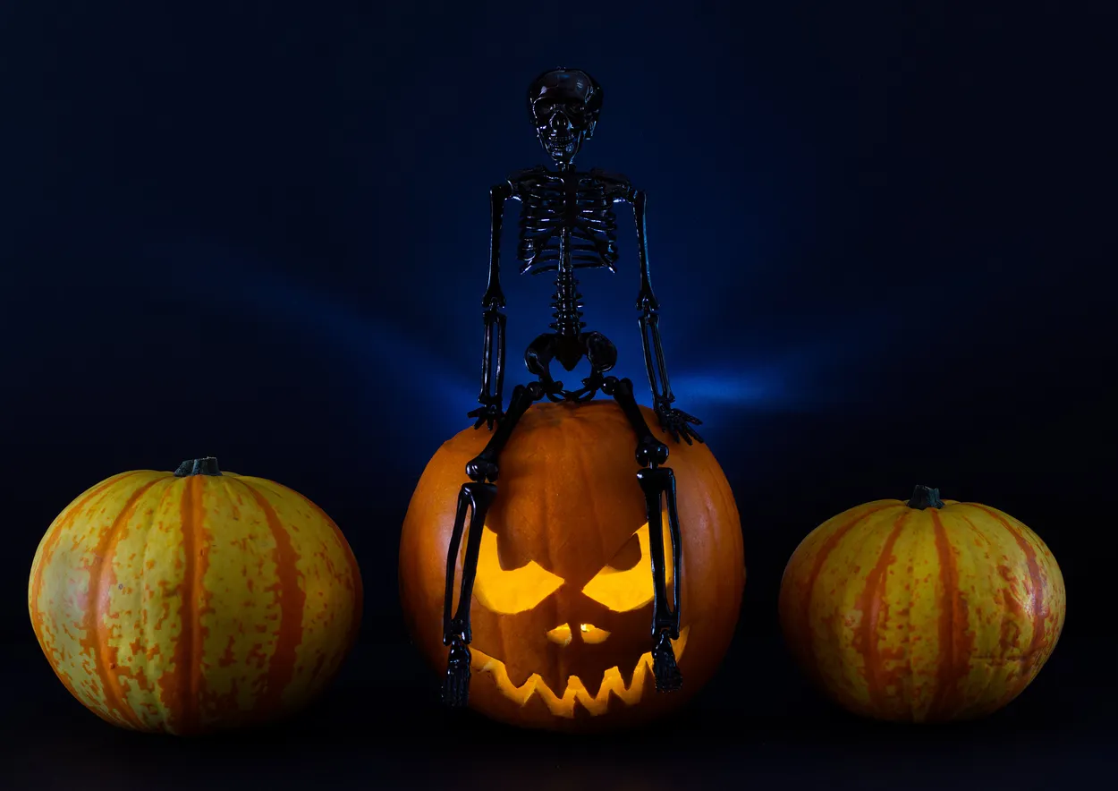 Entry 10808456