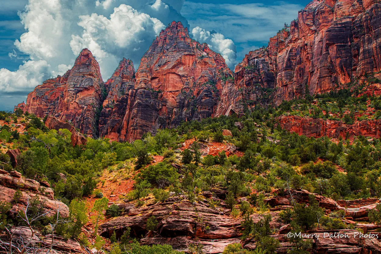 Entry 8833011