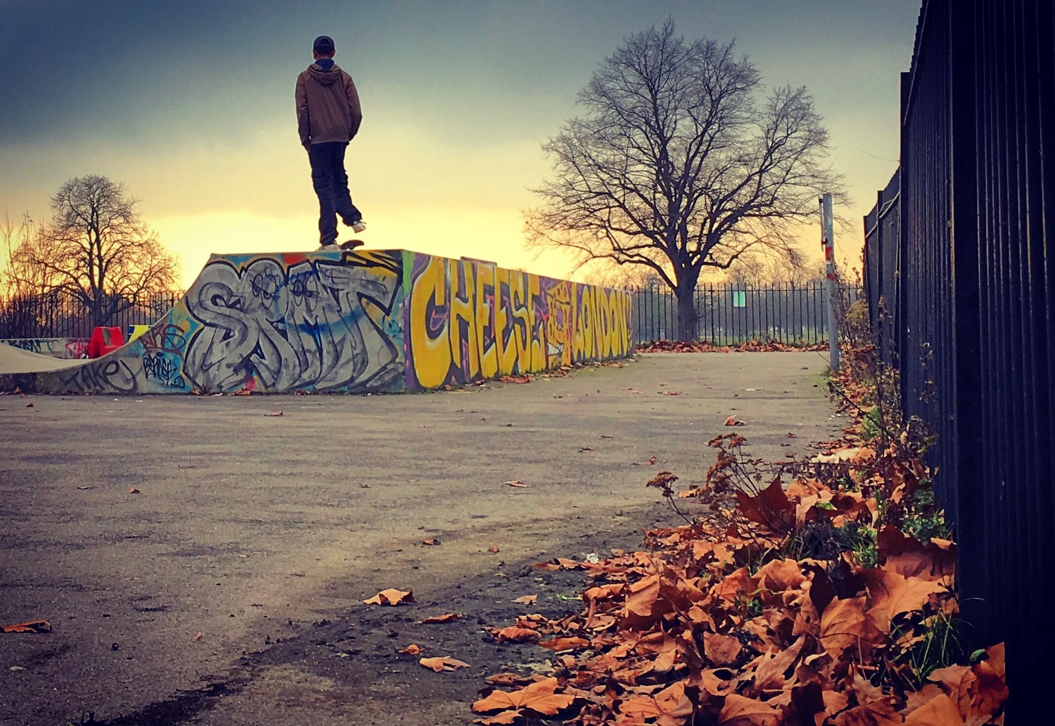 Skater Dude
