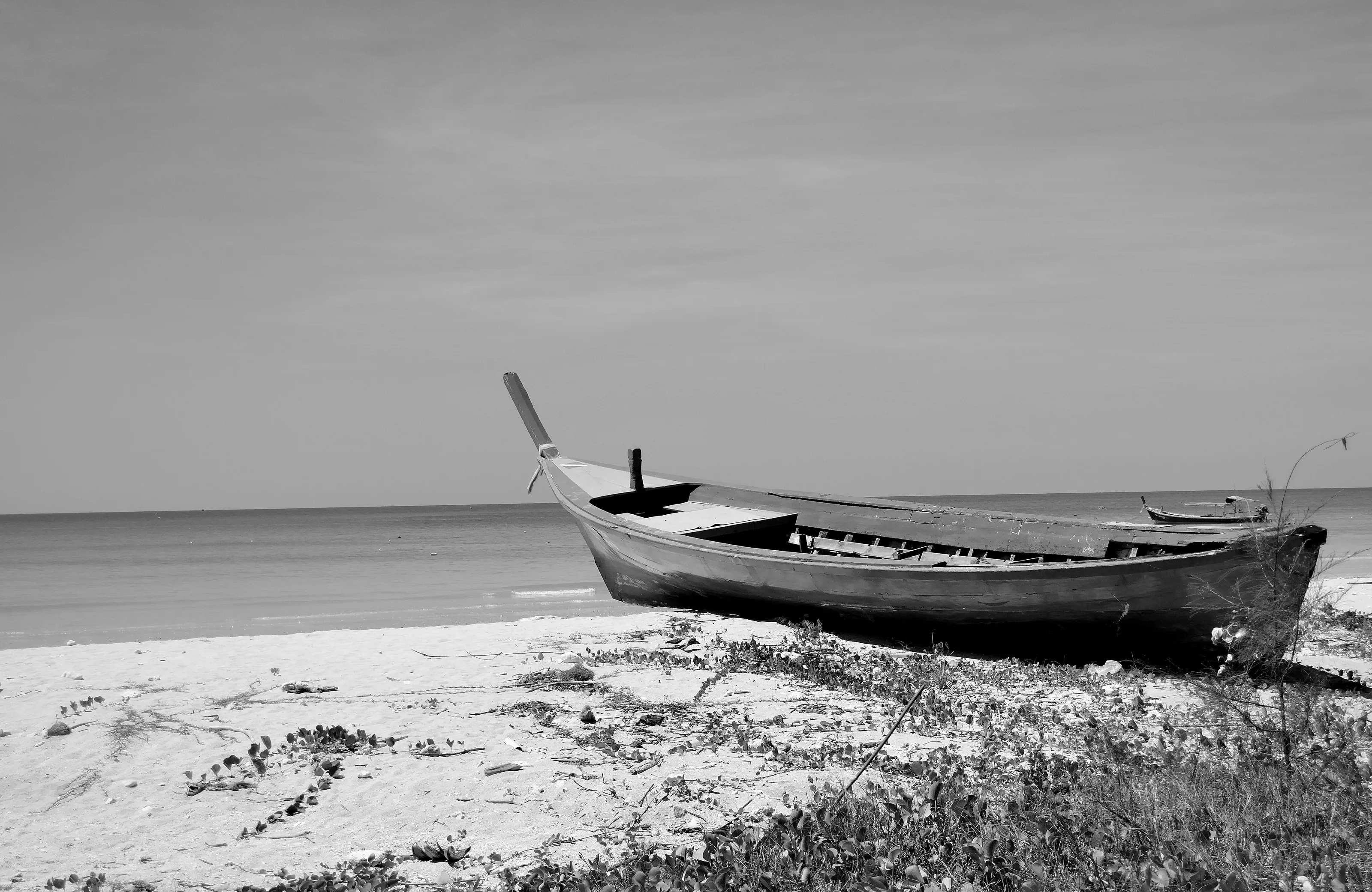 Thai Boat