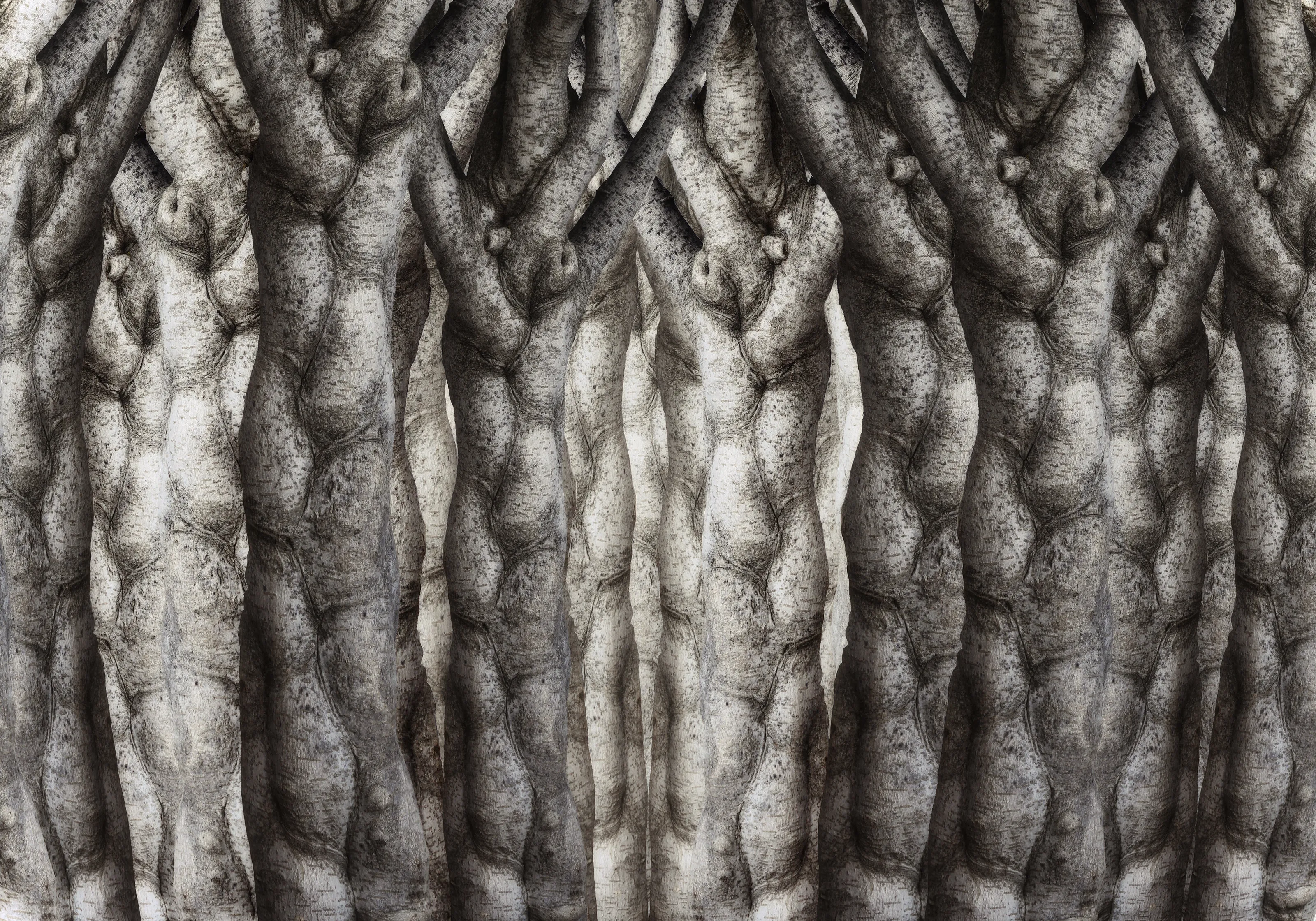 A body of Trees