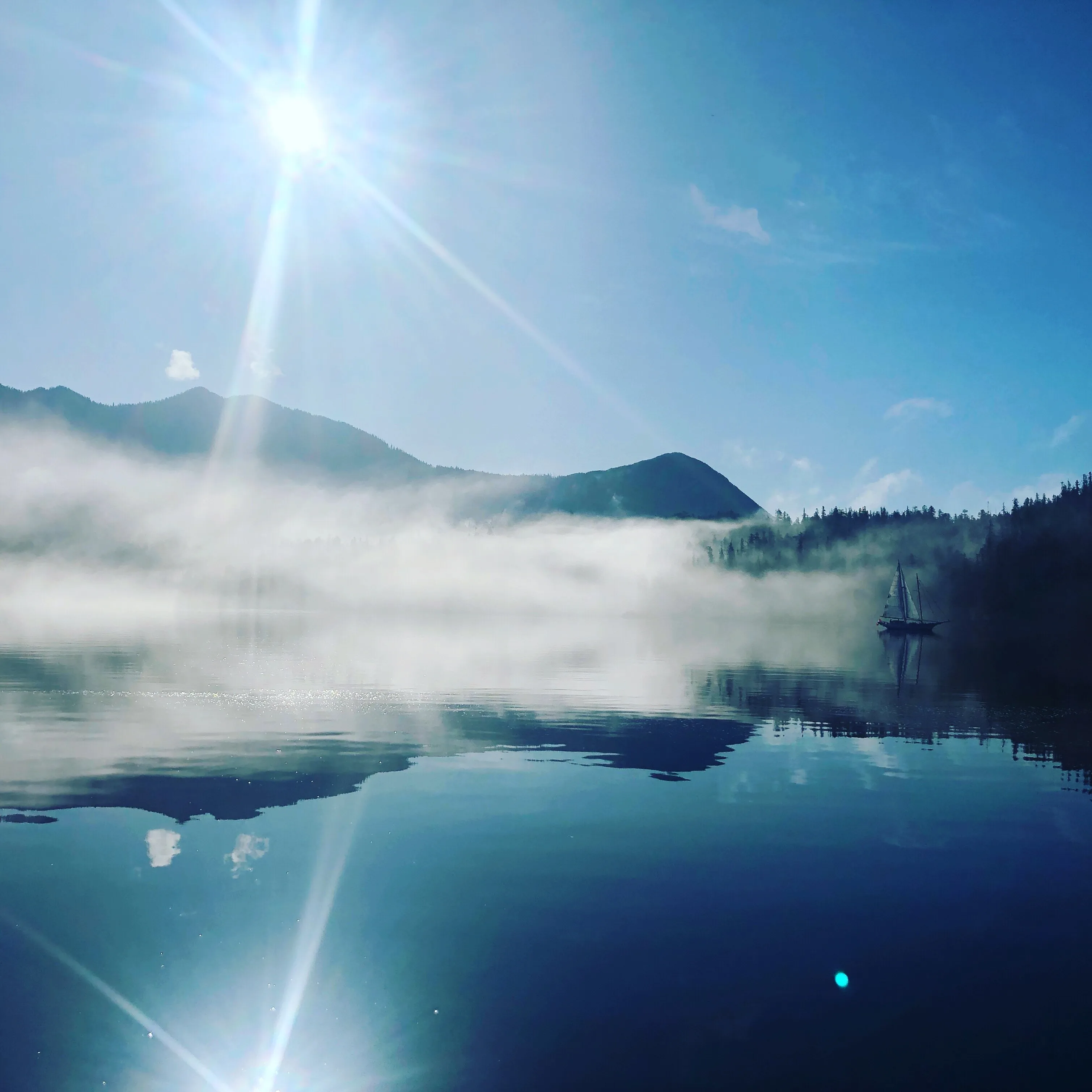 Tofino Wilderness Resort