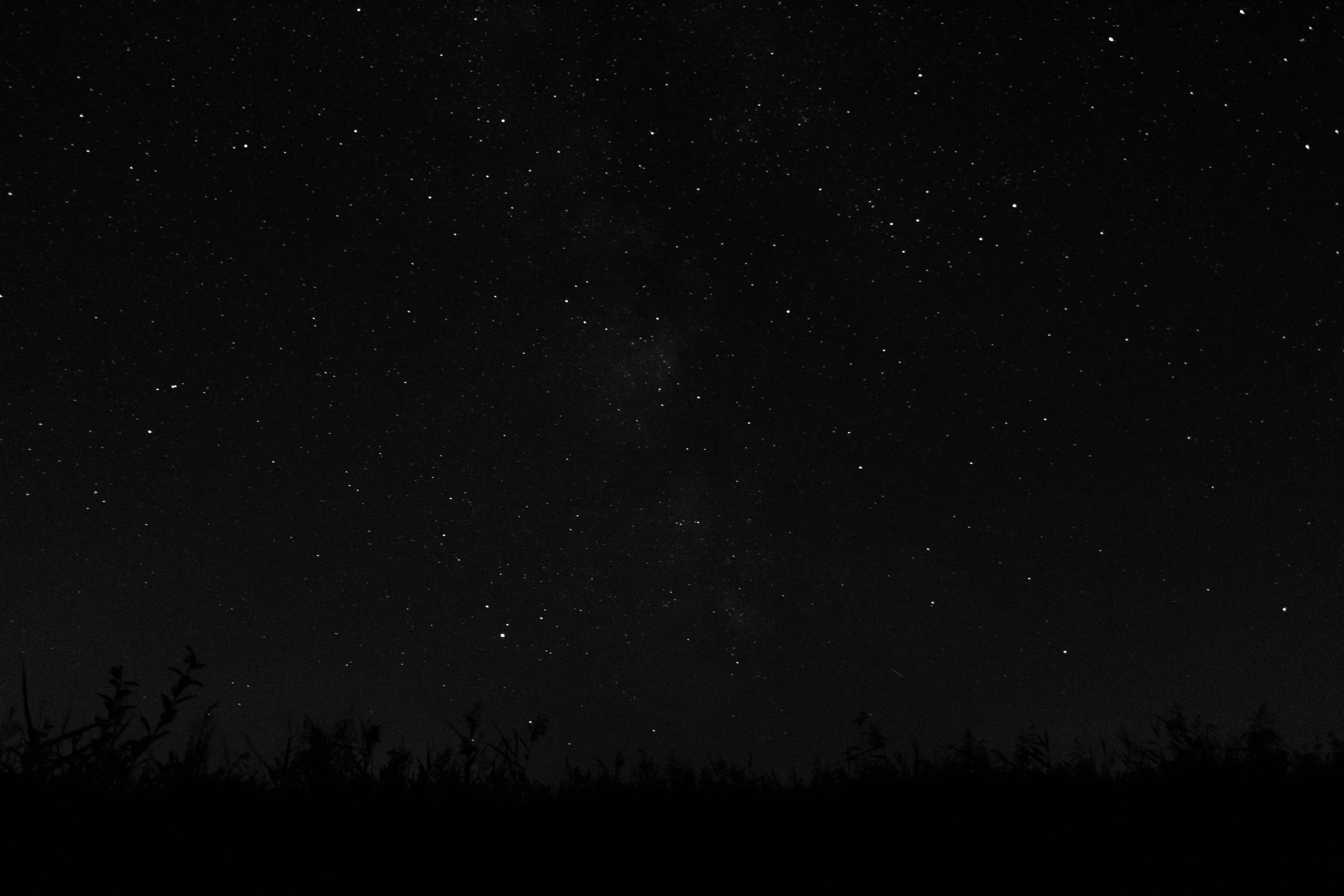 Stars on a night sky in Lapmežciems, Latvia