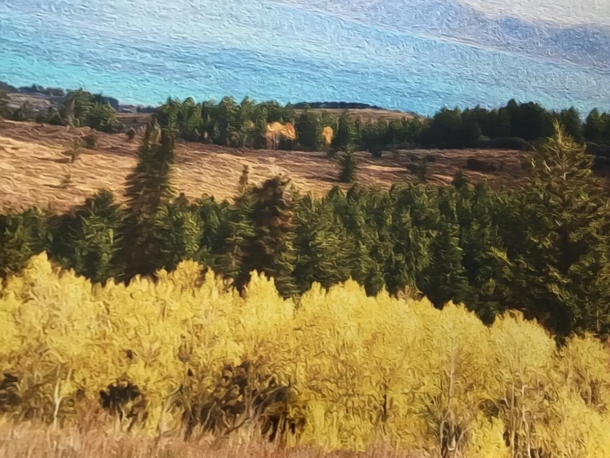 Bear Lake,