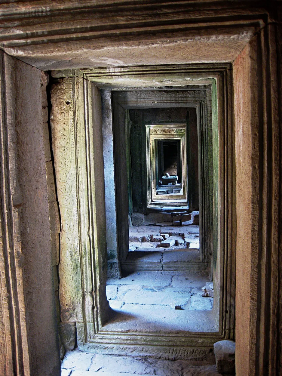 Entry 12431006