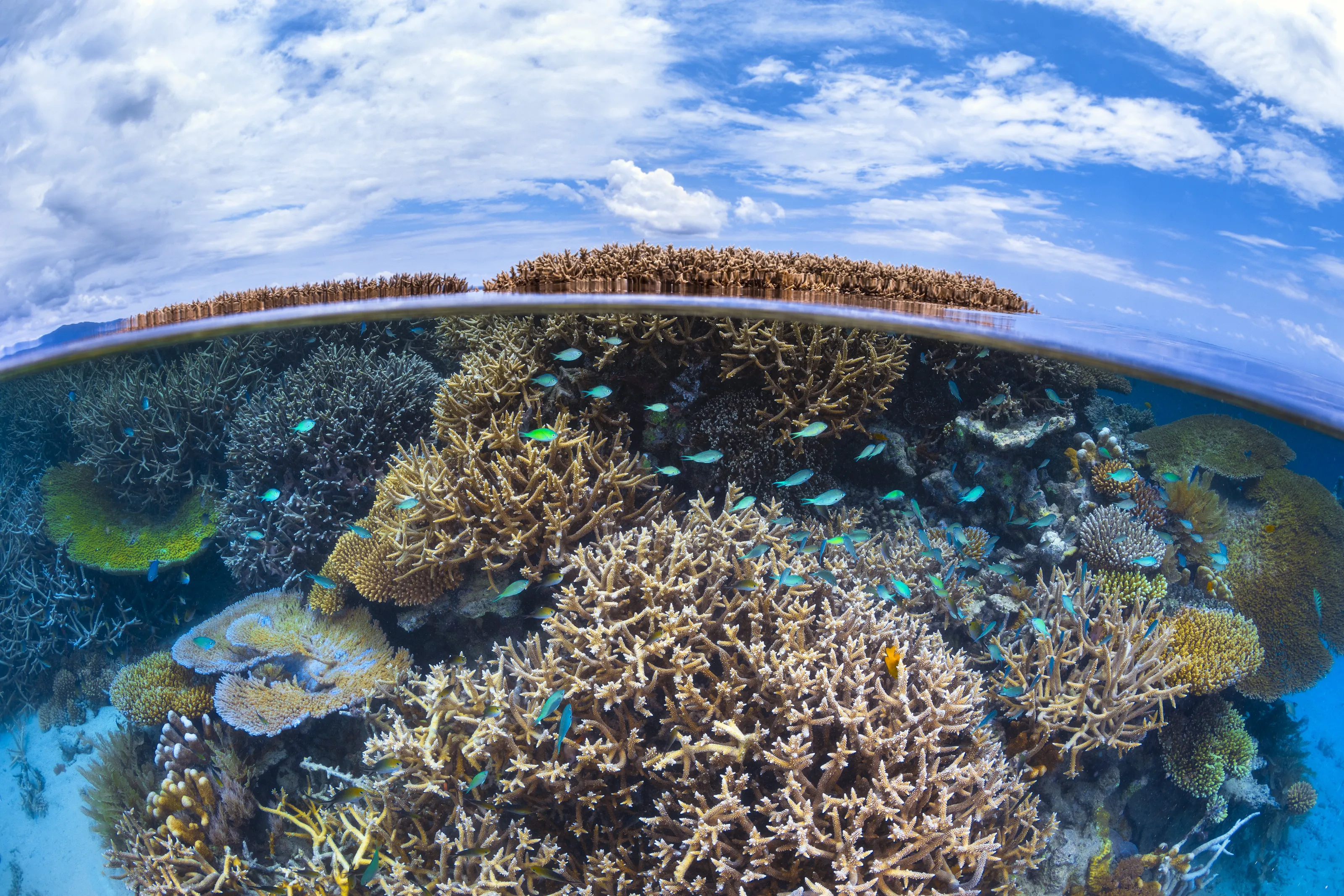 Split level from the reef