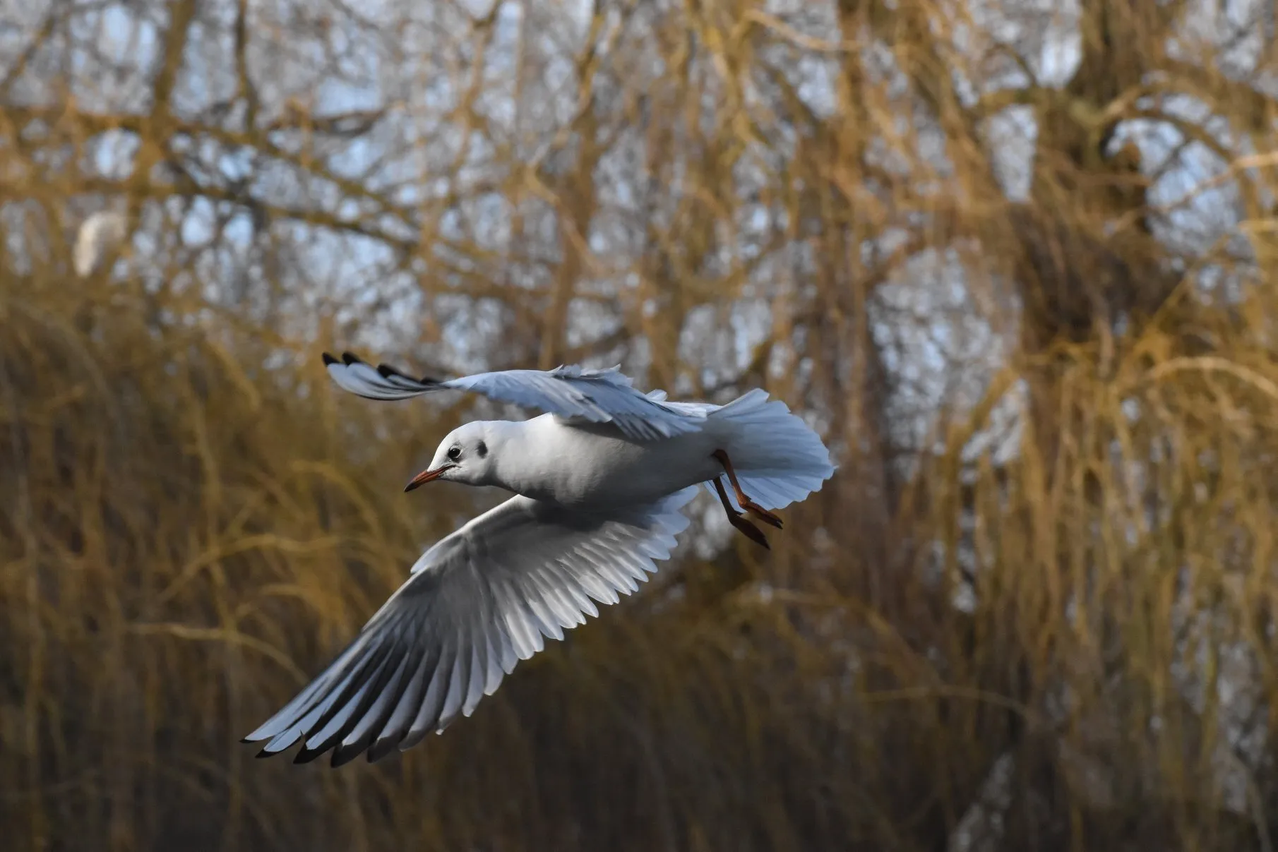 We have take off!