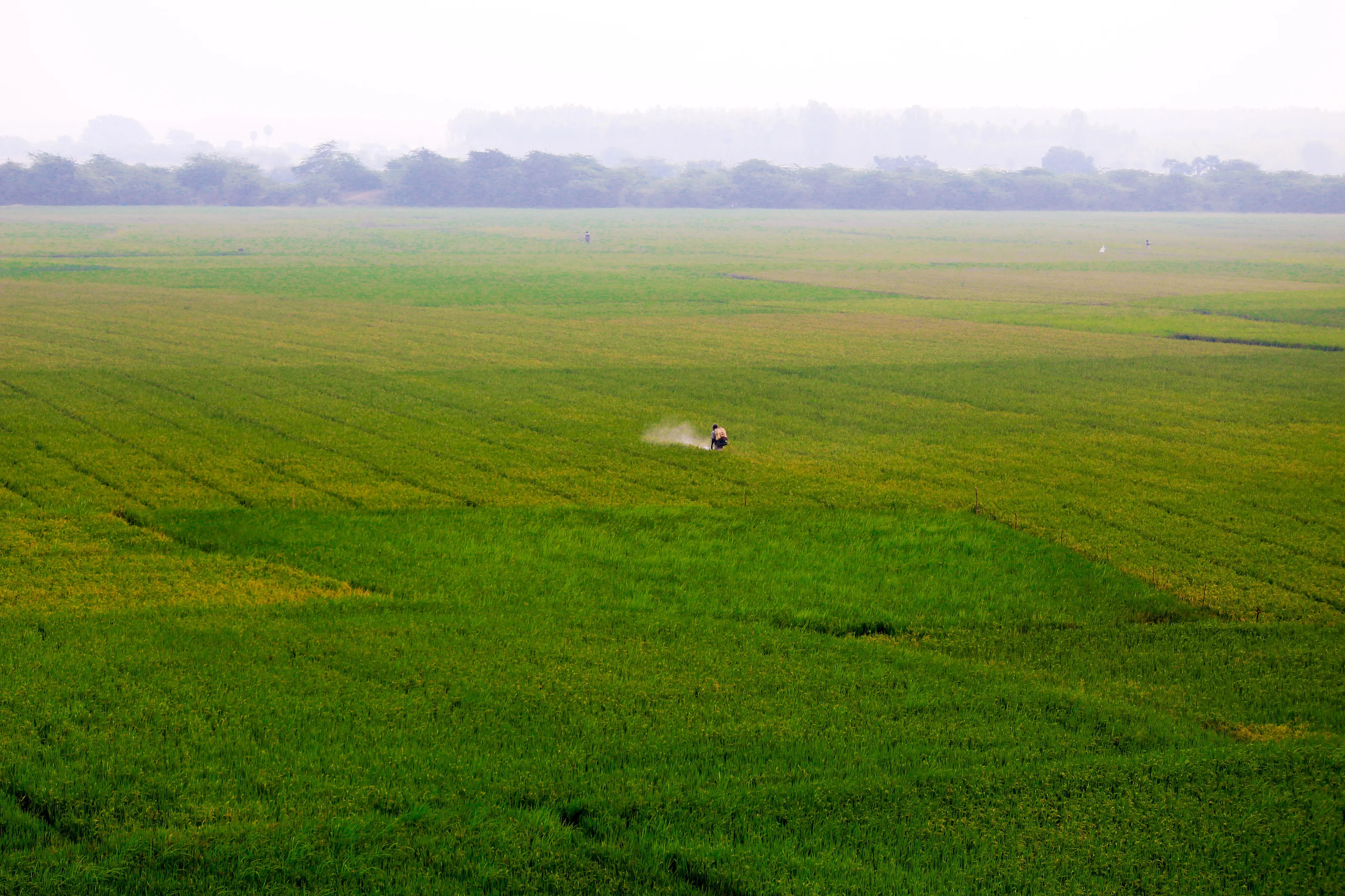 Farmer's Work
