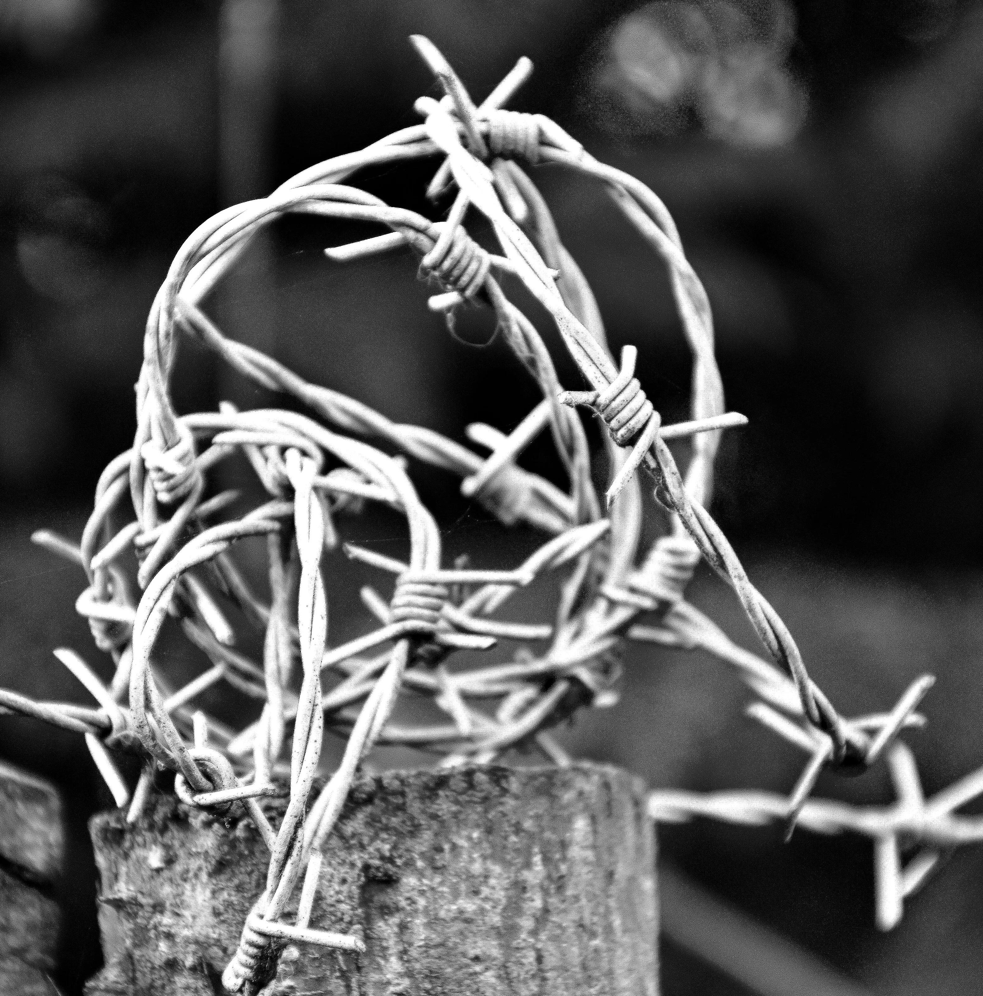 Intertwined