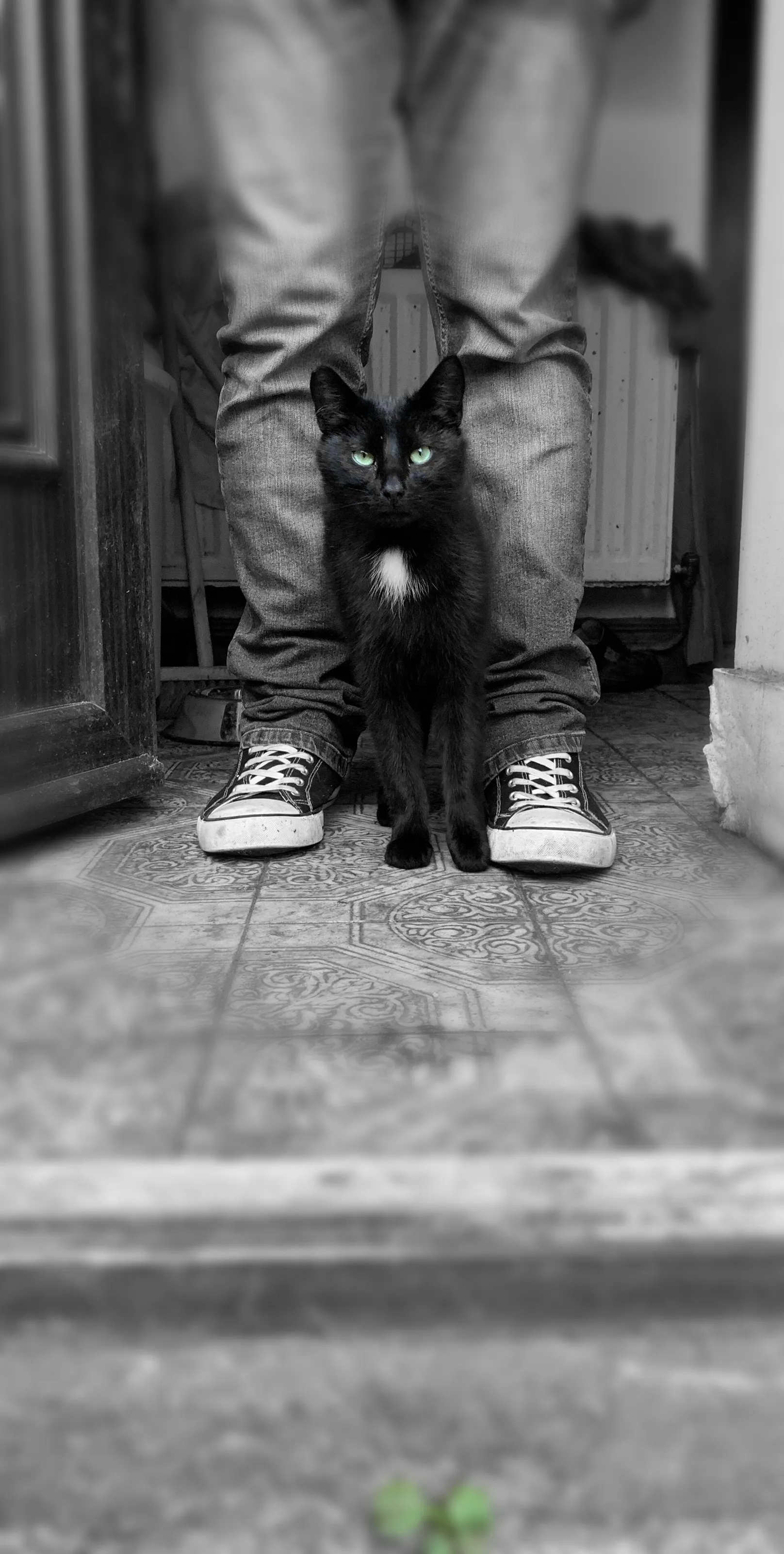 That stare