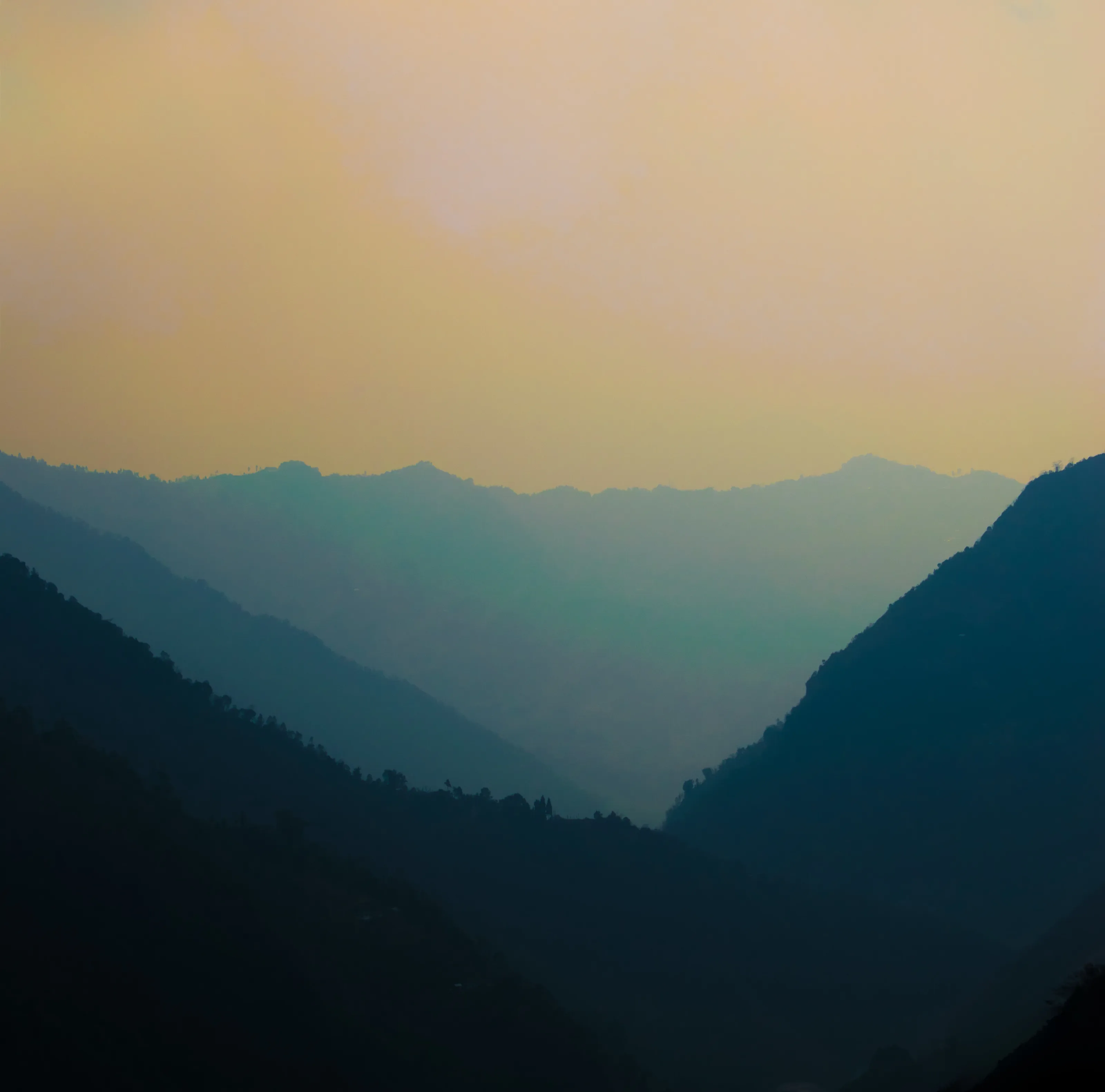 The Mountain Euphoria