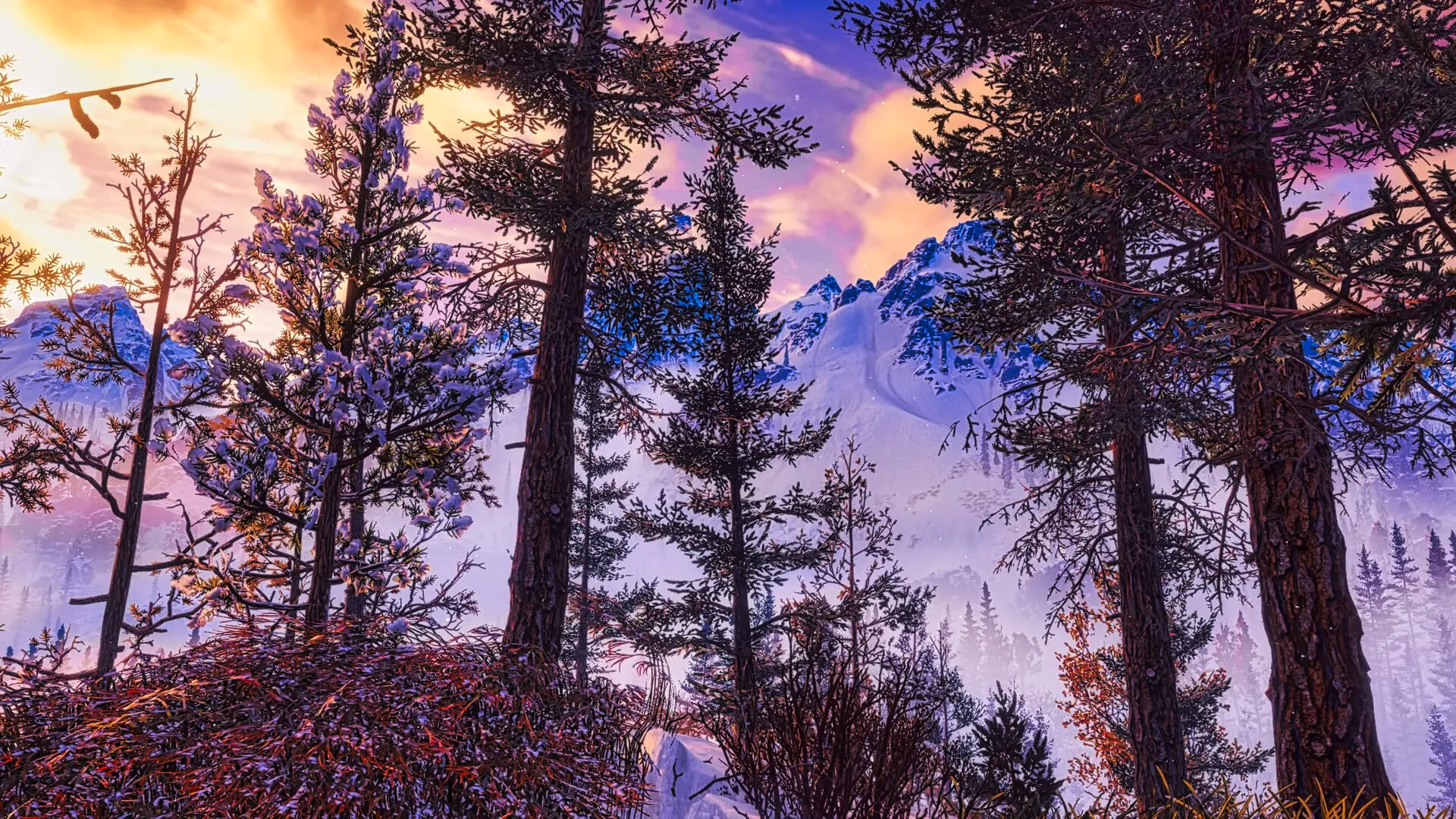 Over The Horizon