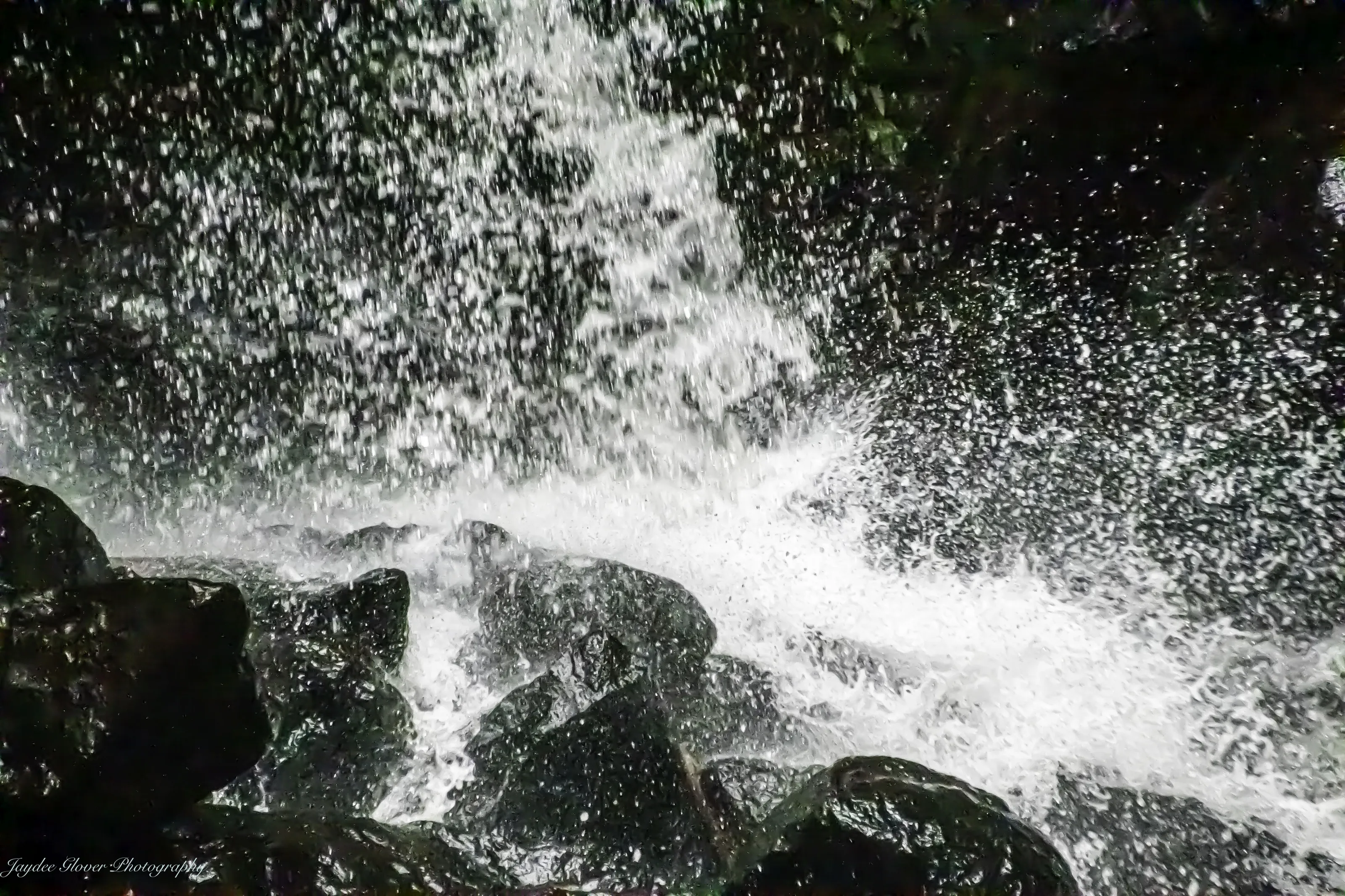 Shine on the Rocks