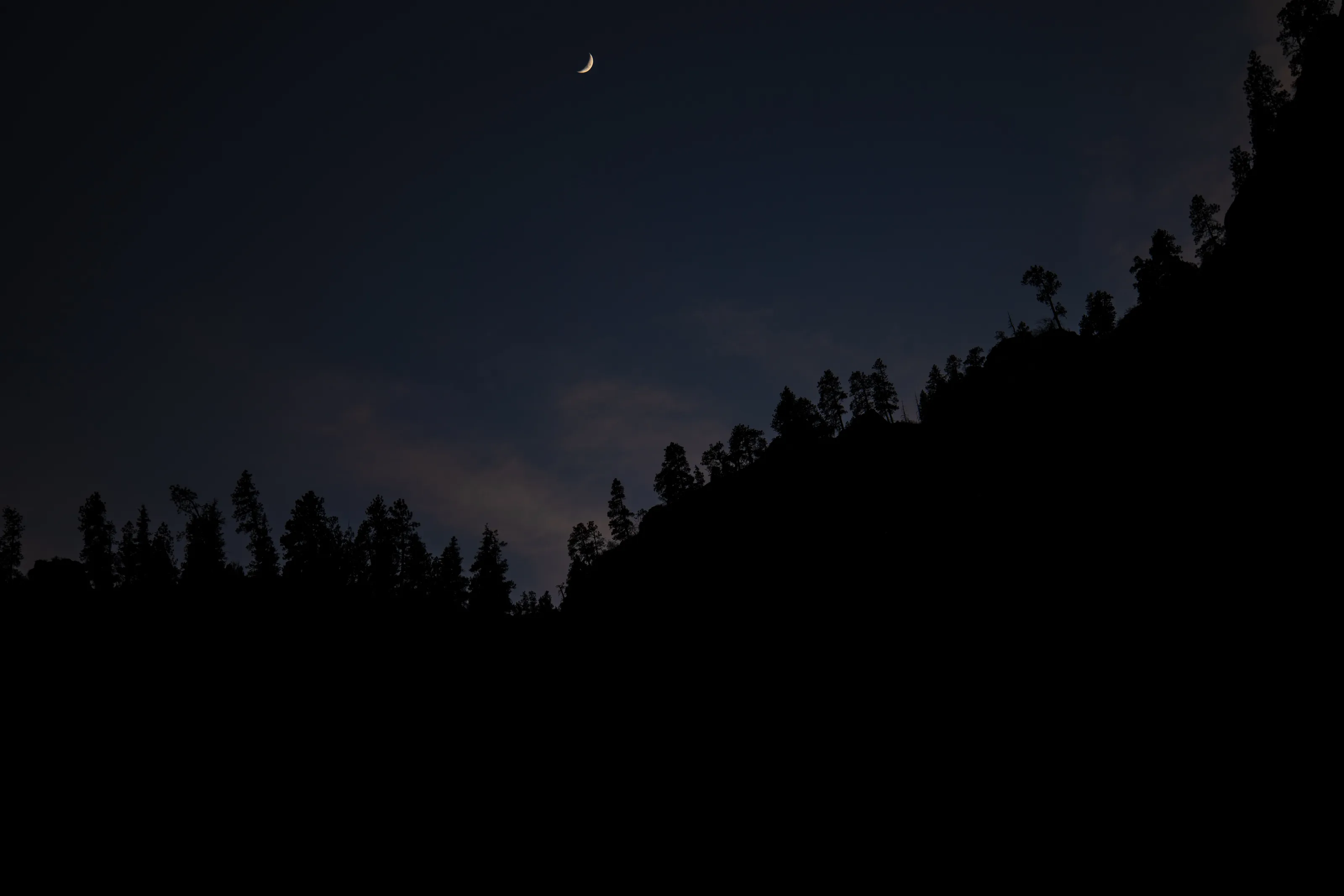 Silhouette of Beautiful Trees with a beautiful moon