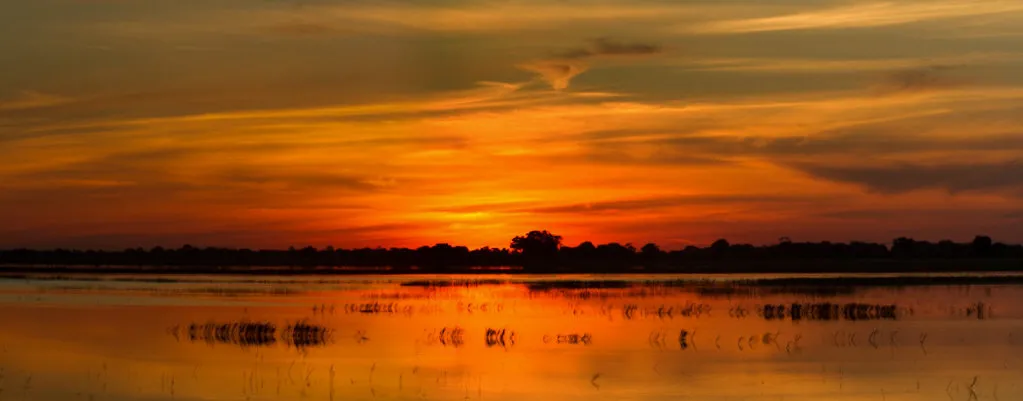 Chobe river in full flood