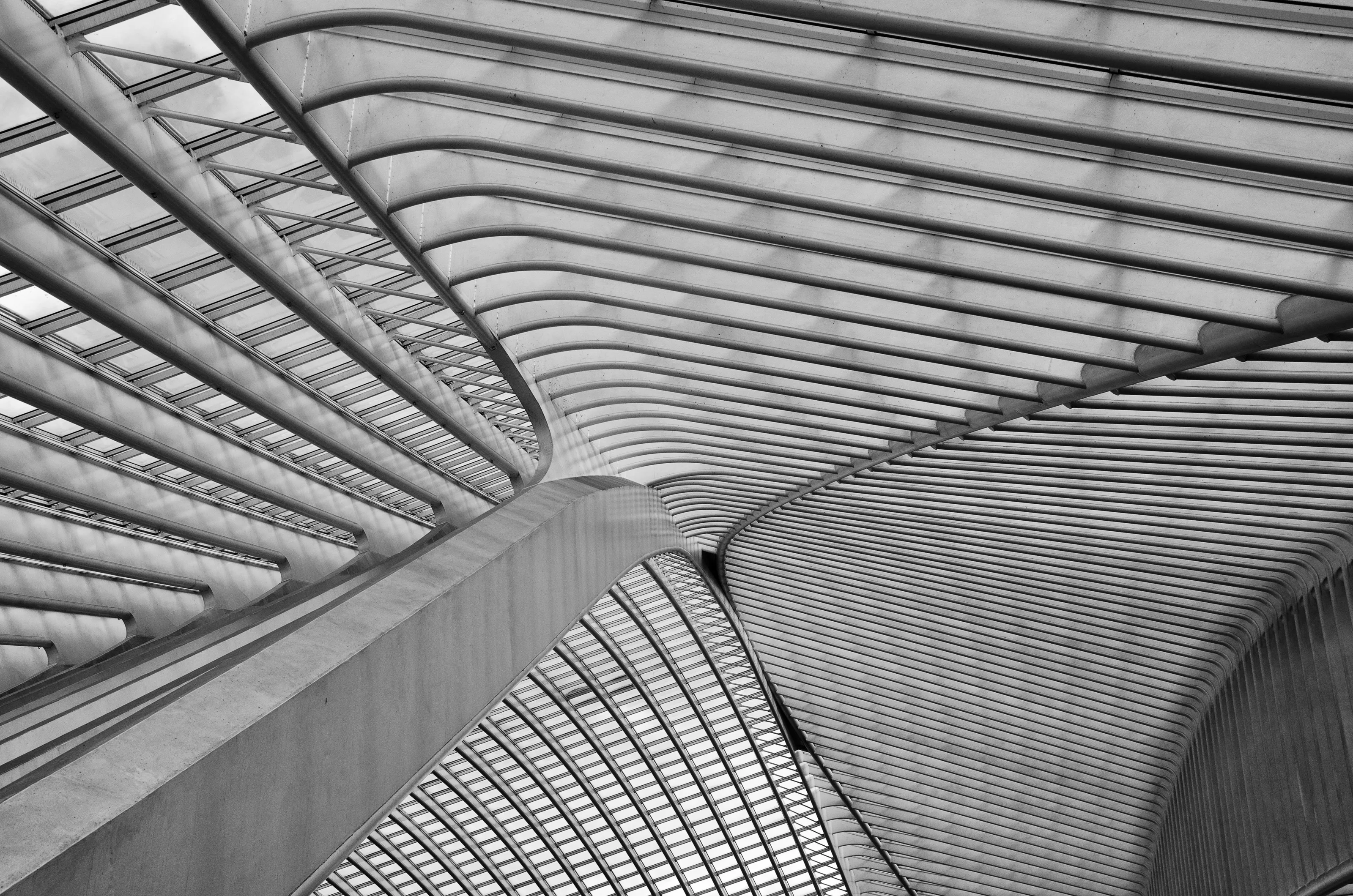 Lines and Curves