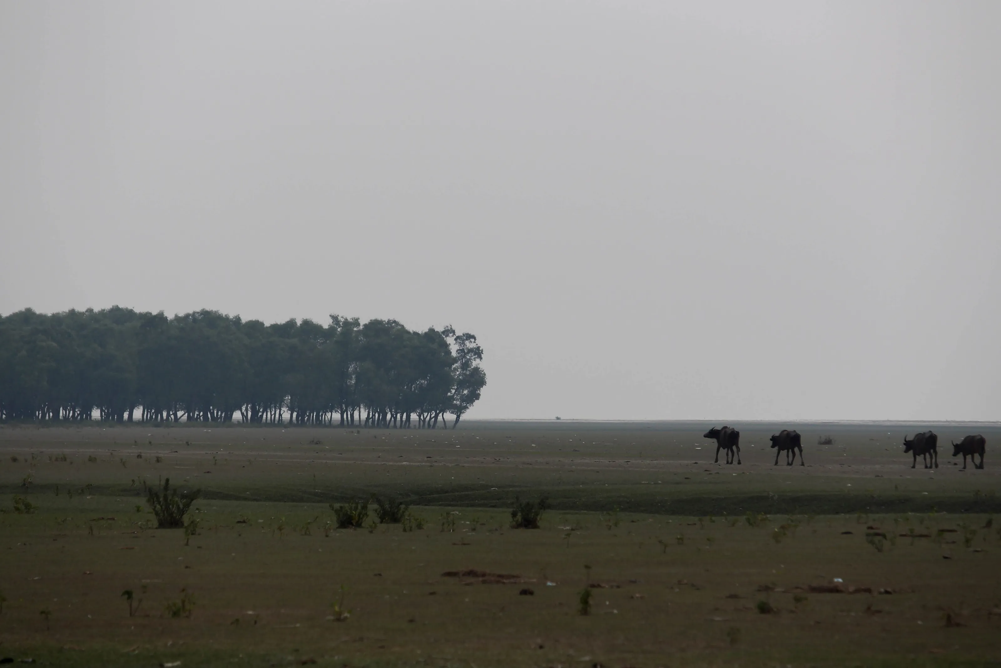Into the Silence...