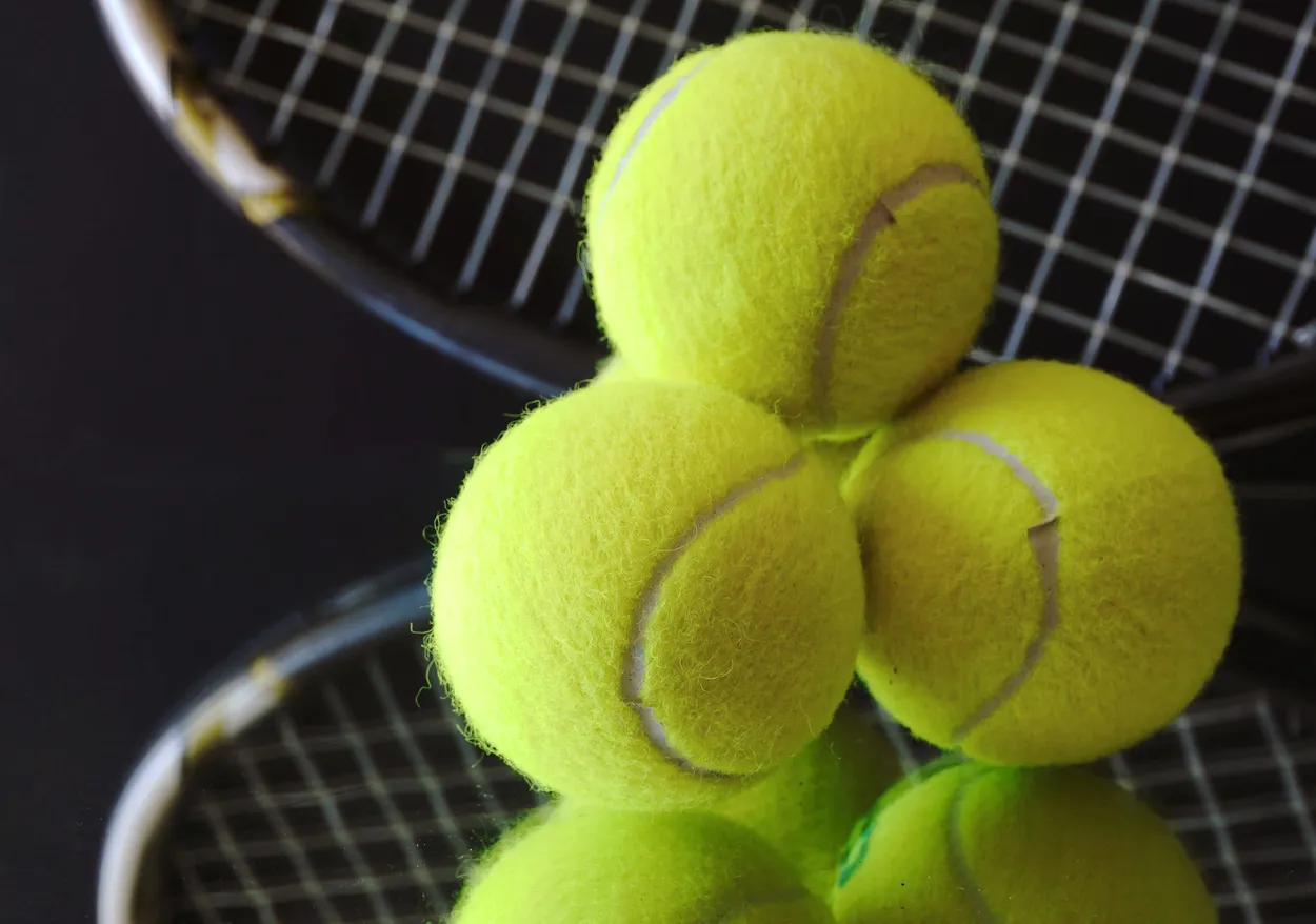 Entry 11670785