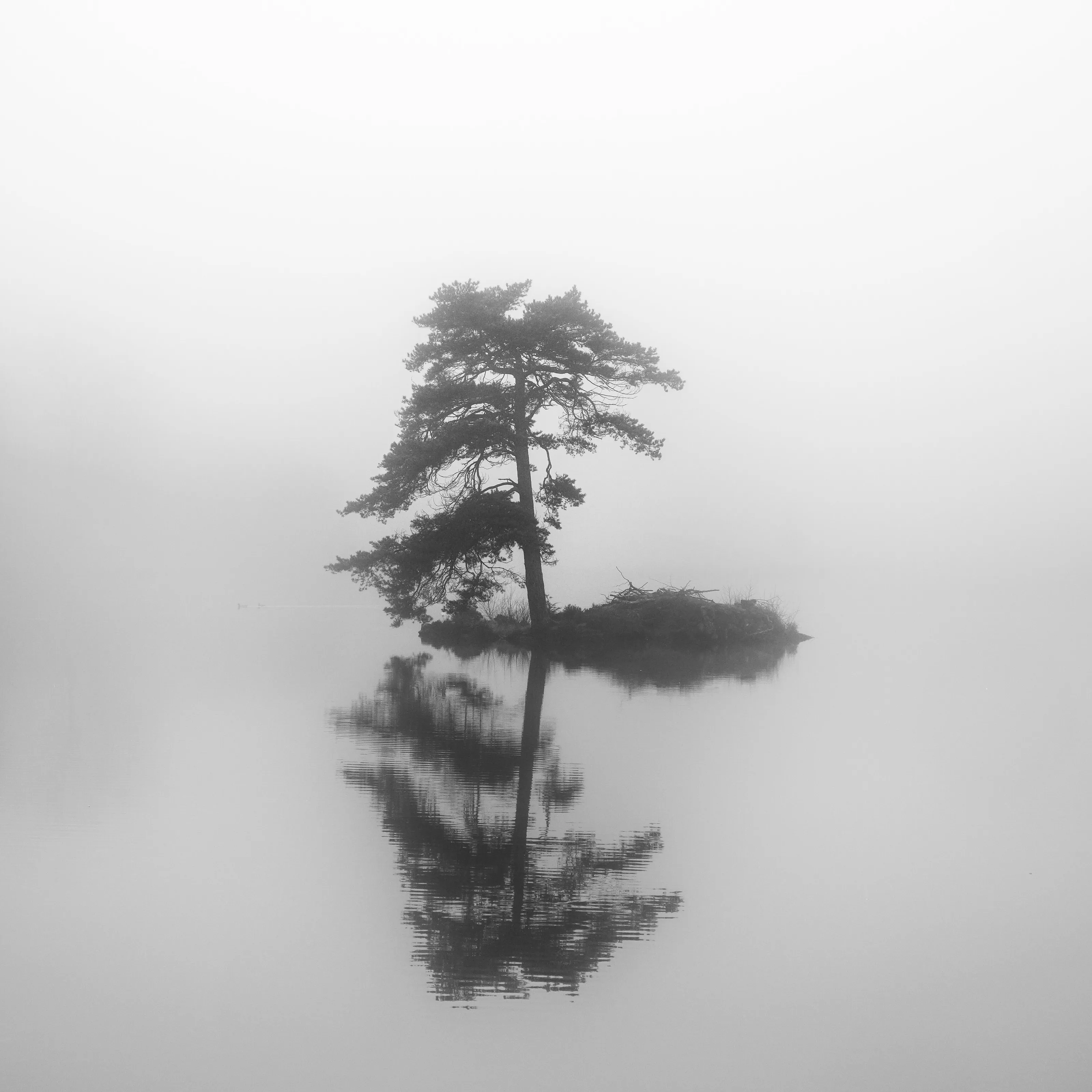 Lone Pine