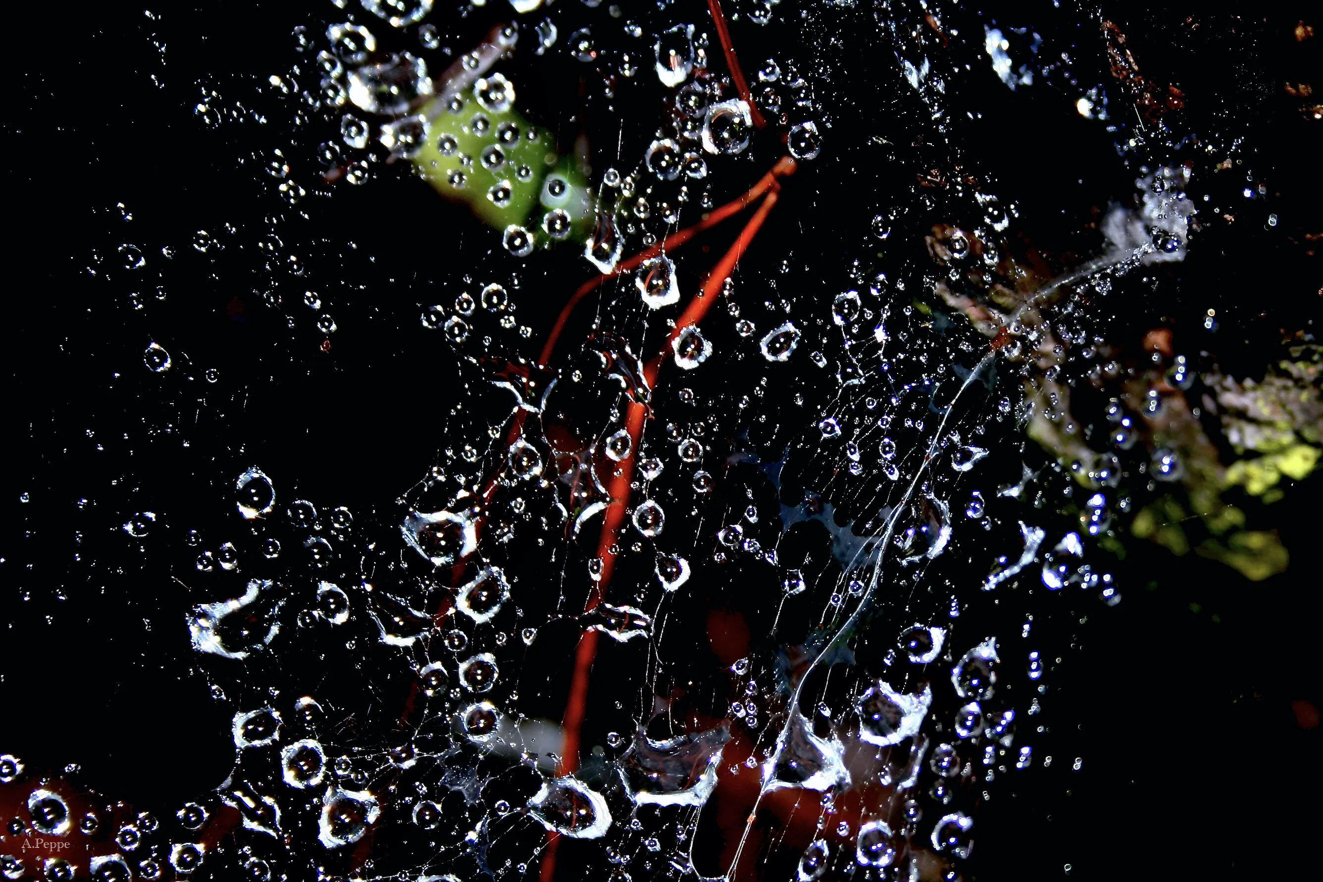 Web of water