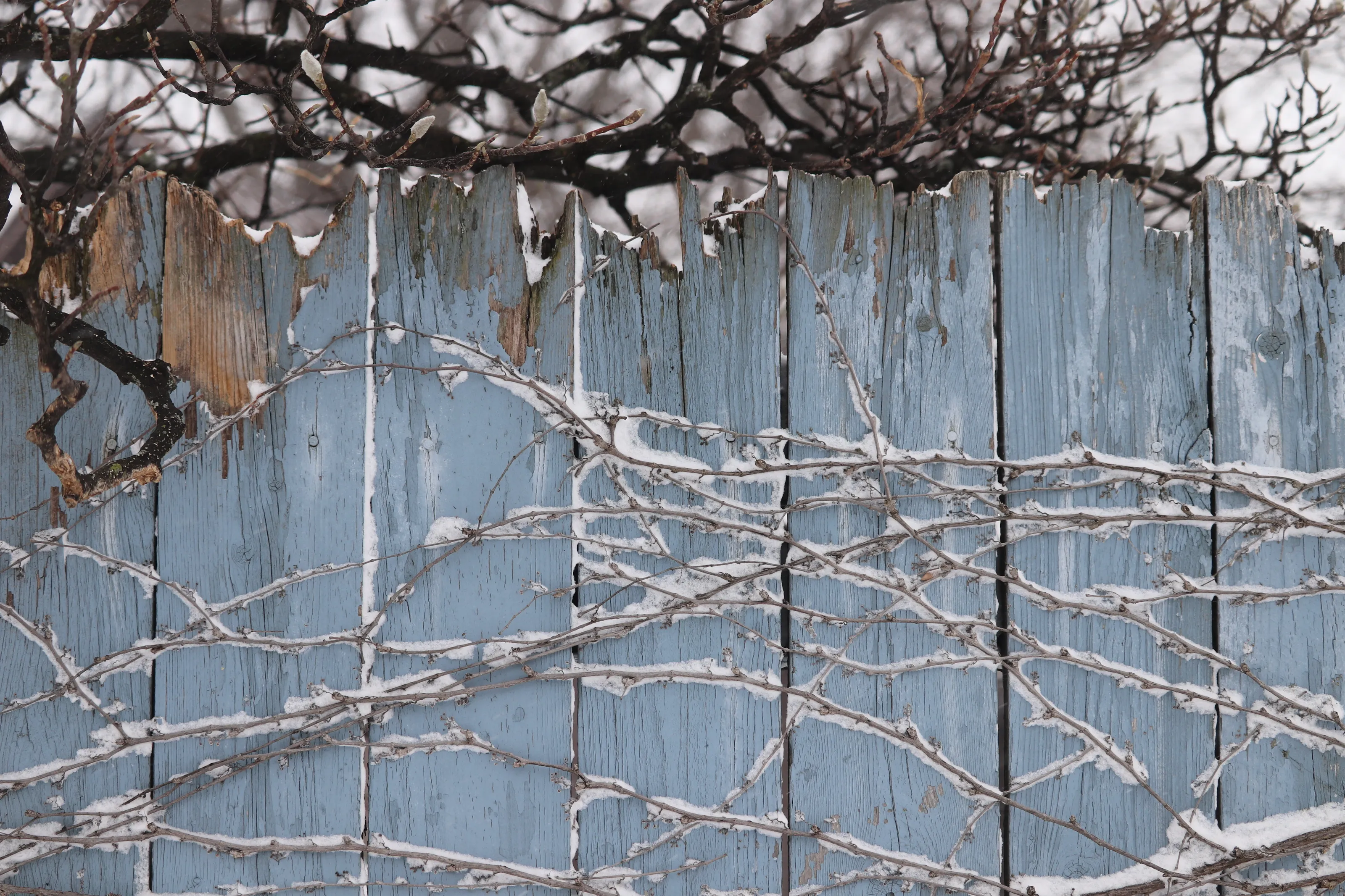 Winter fence
