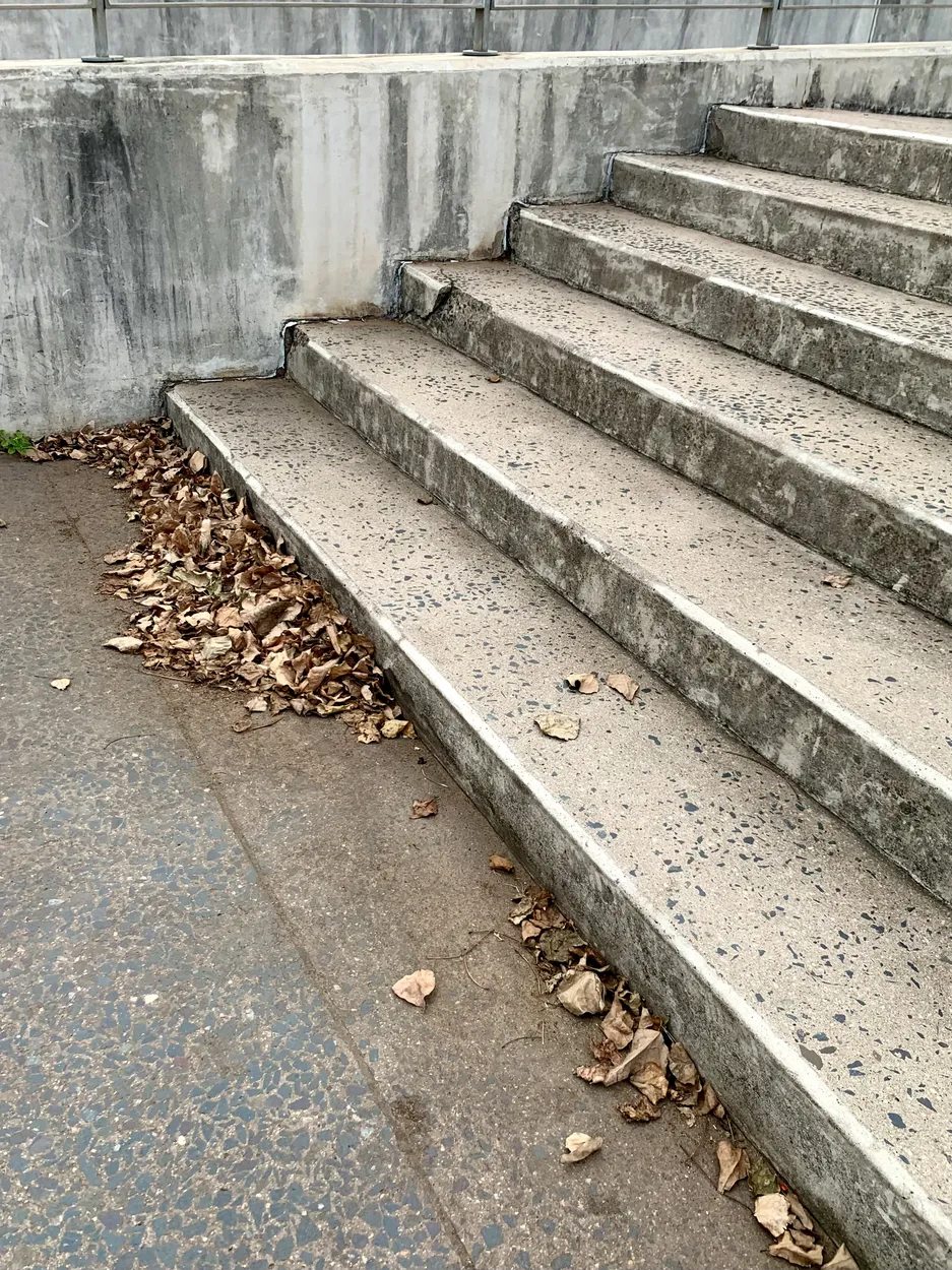 Entry 8901978
