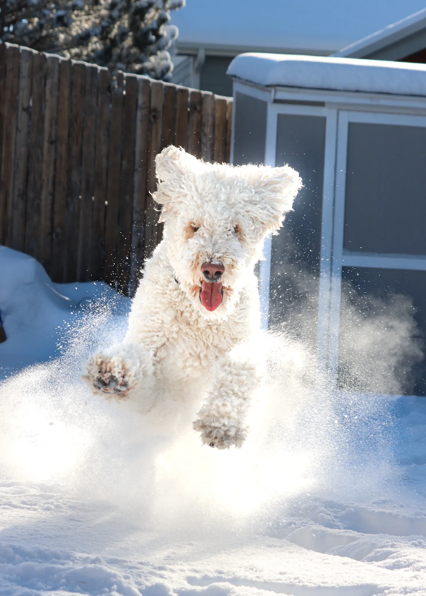 Snow Day!