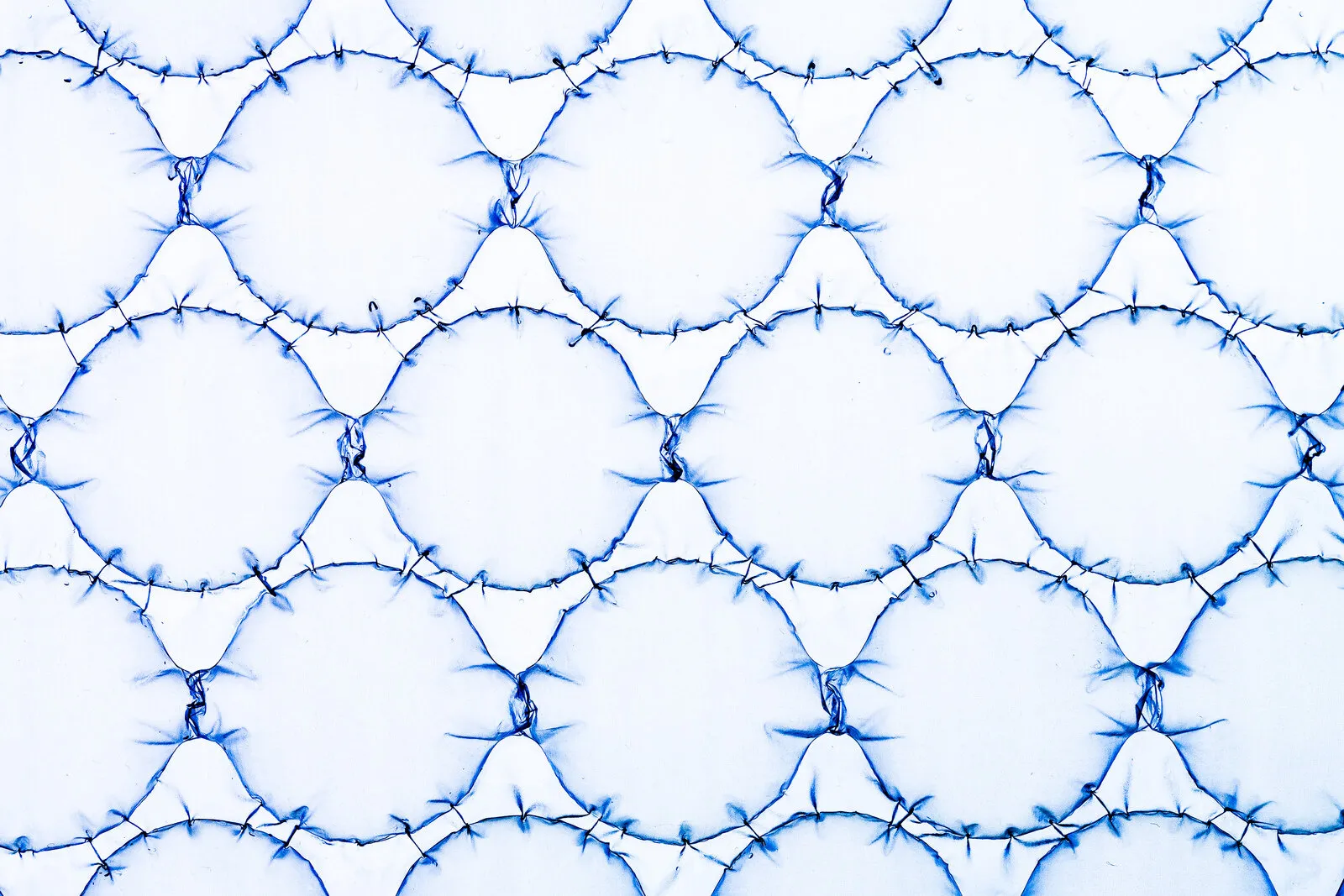 Cells