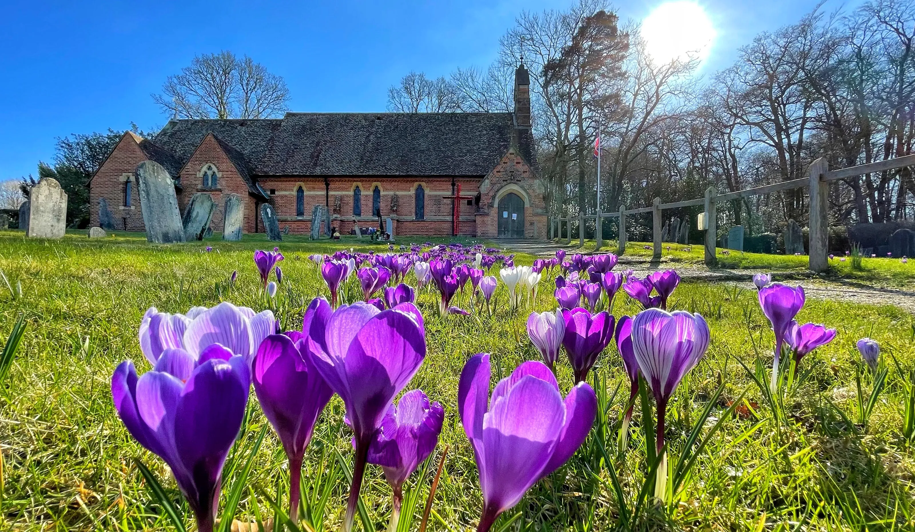 Spring in an English churchyard