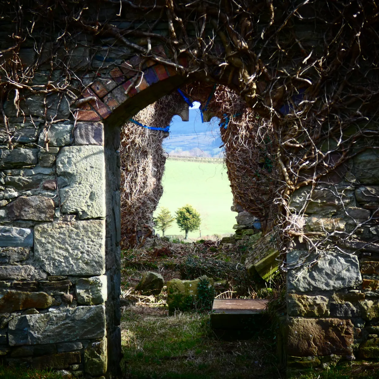 Entry 8910939