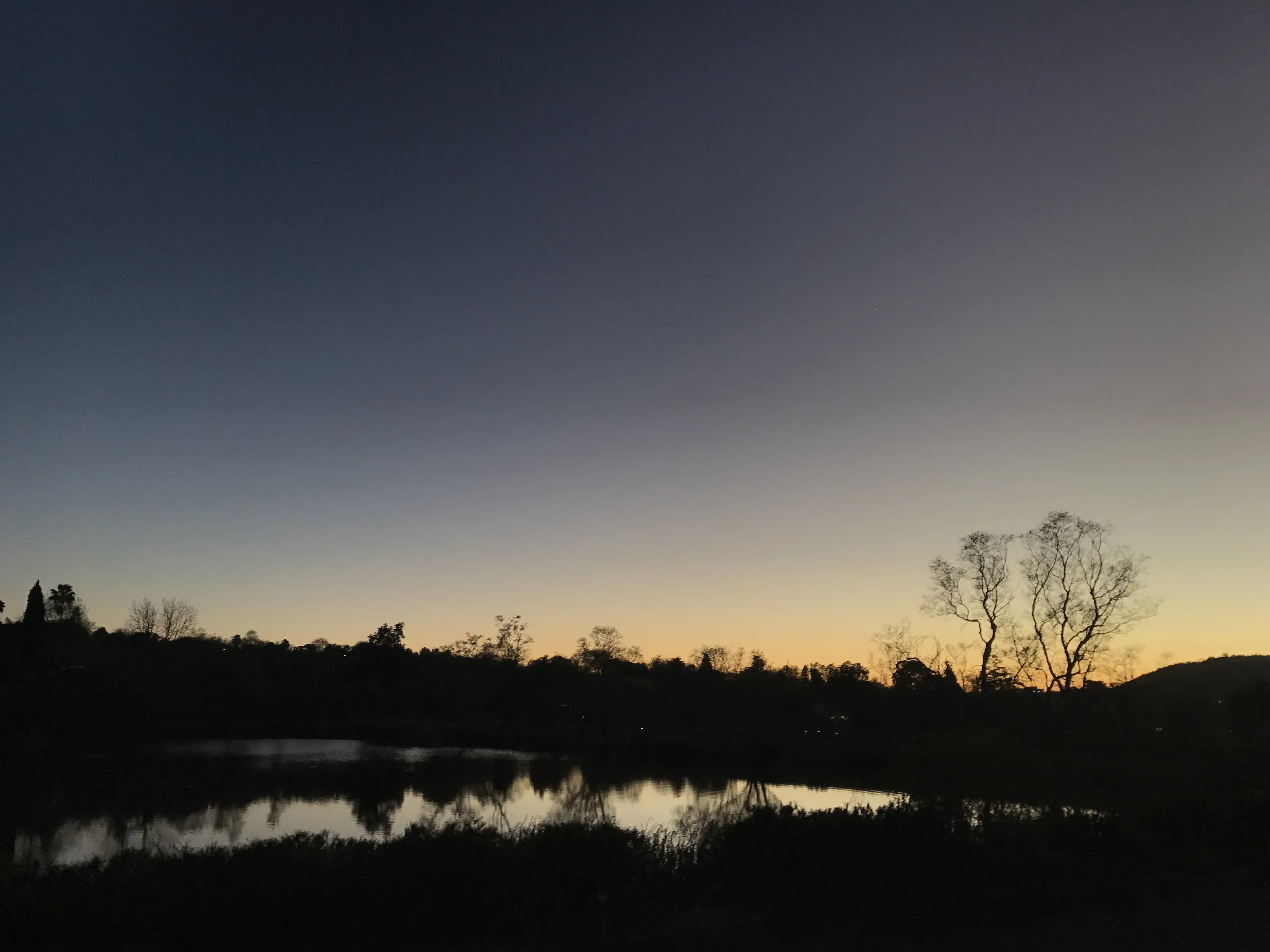 Early morning light.
