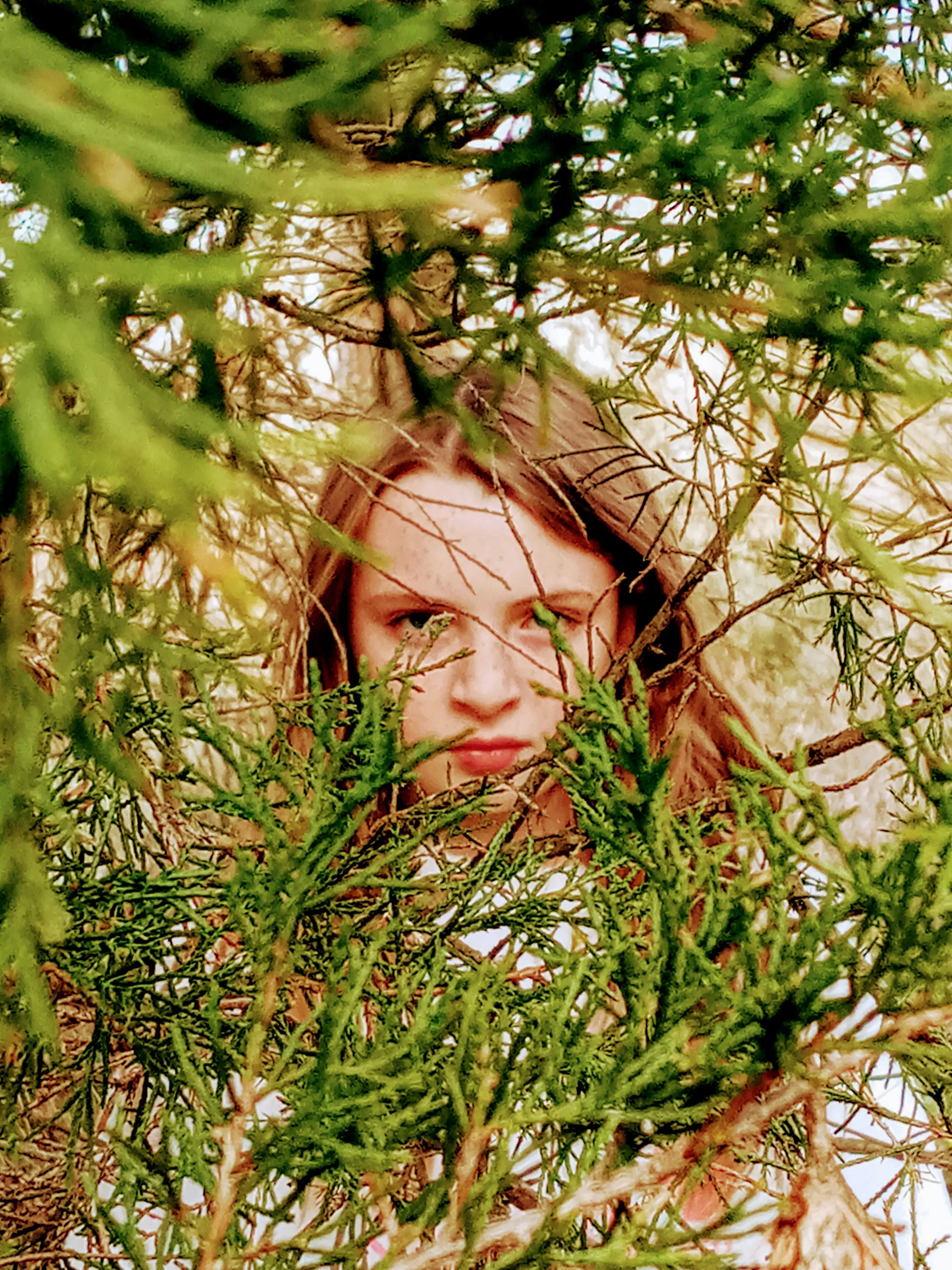 Banner image