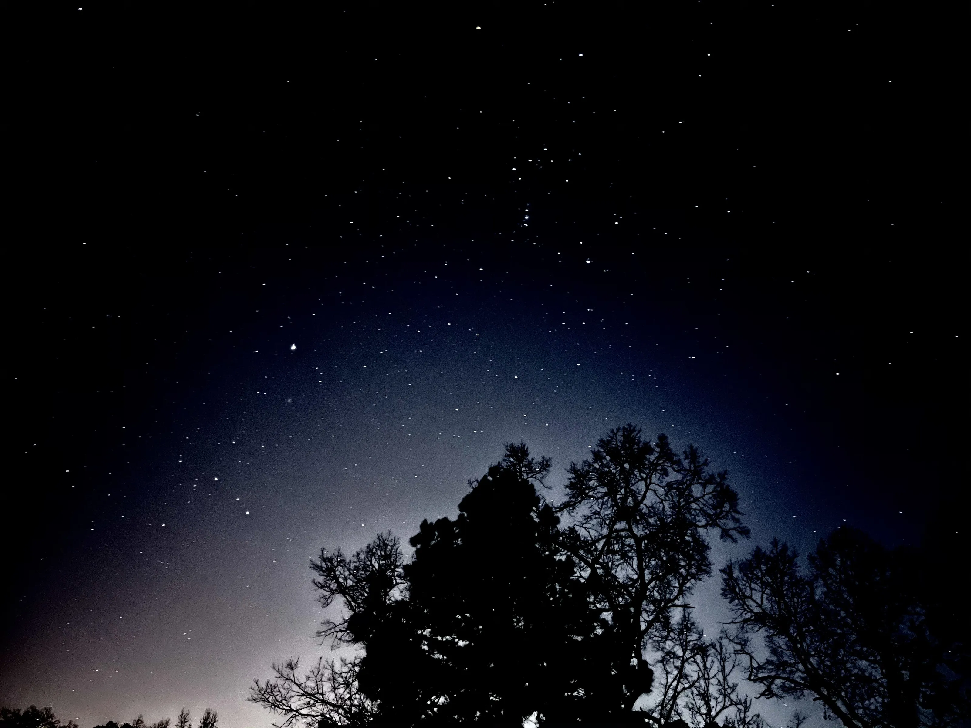 Star Filled Night