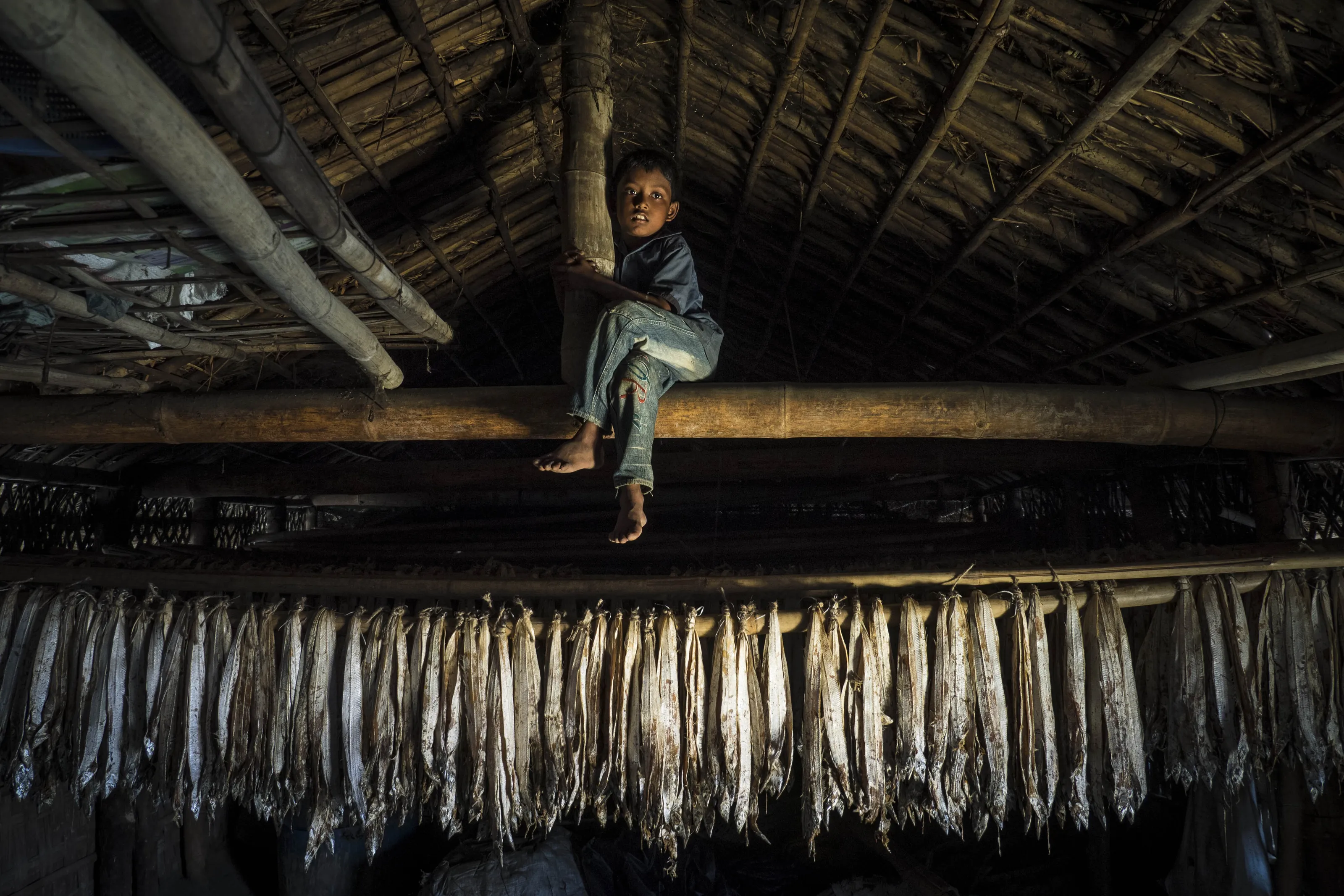 Dried fish, Bangladesh