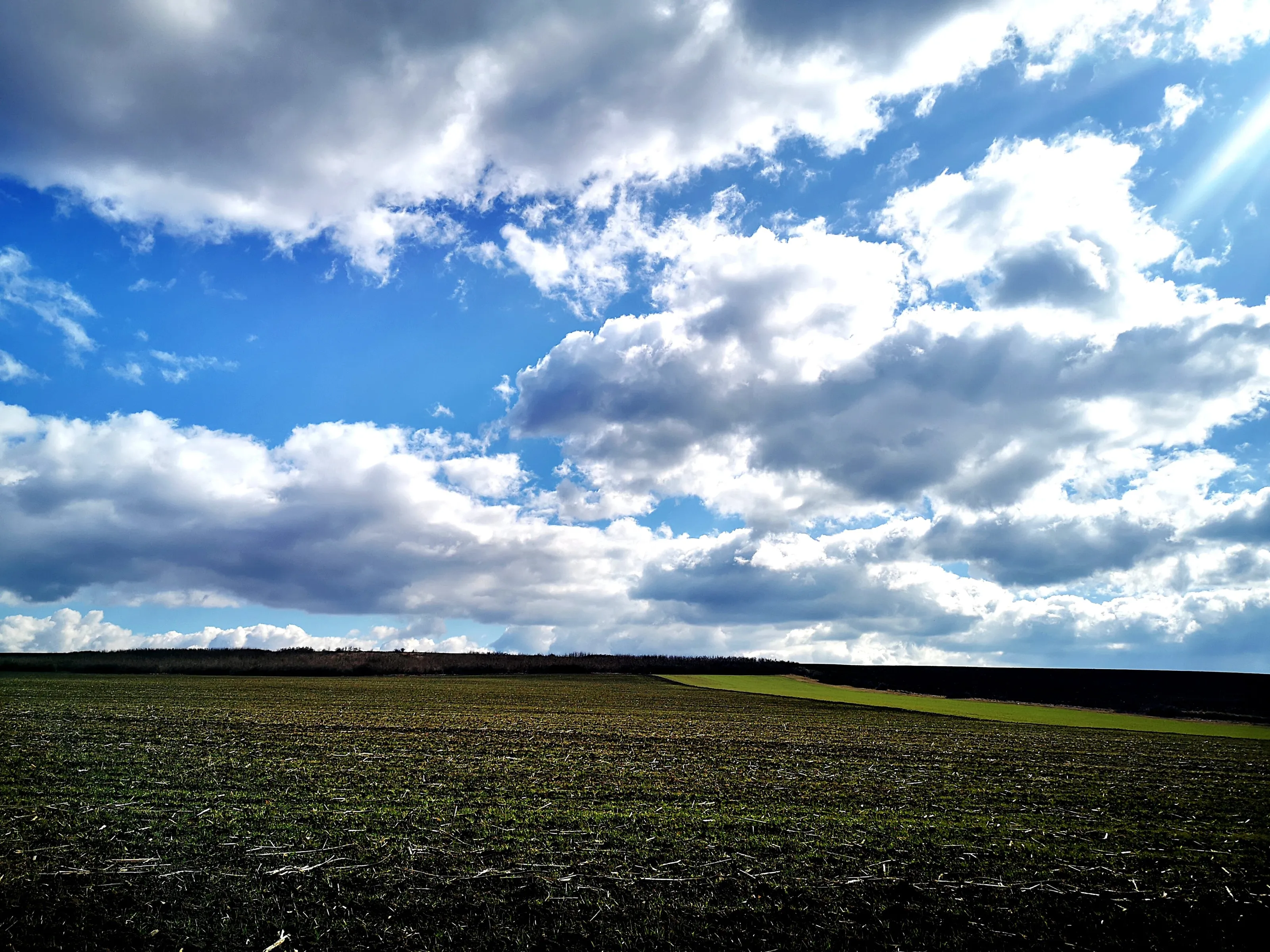 Spring skyline on the ploughing ground