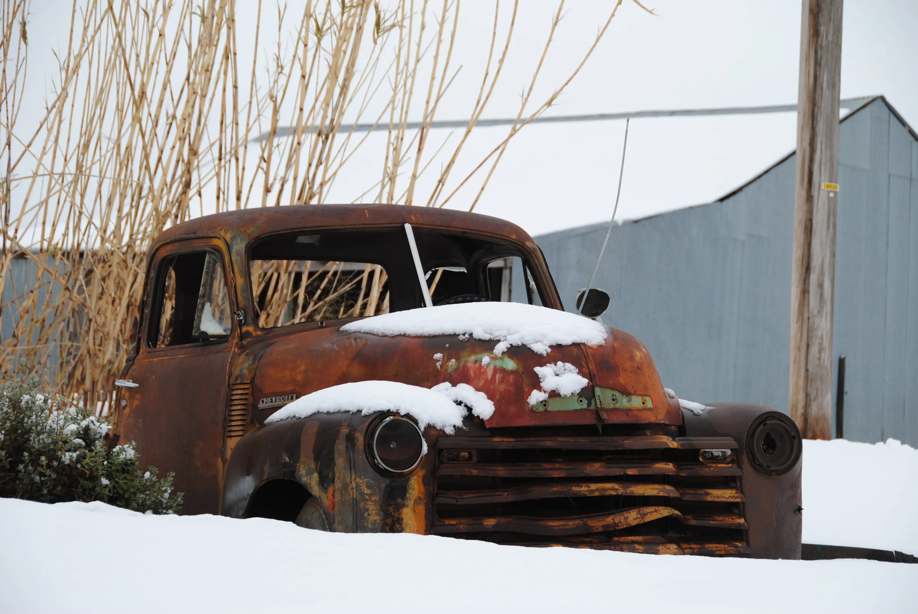 Snow Day