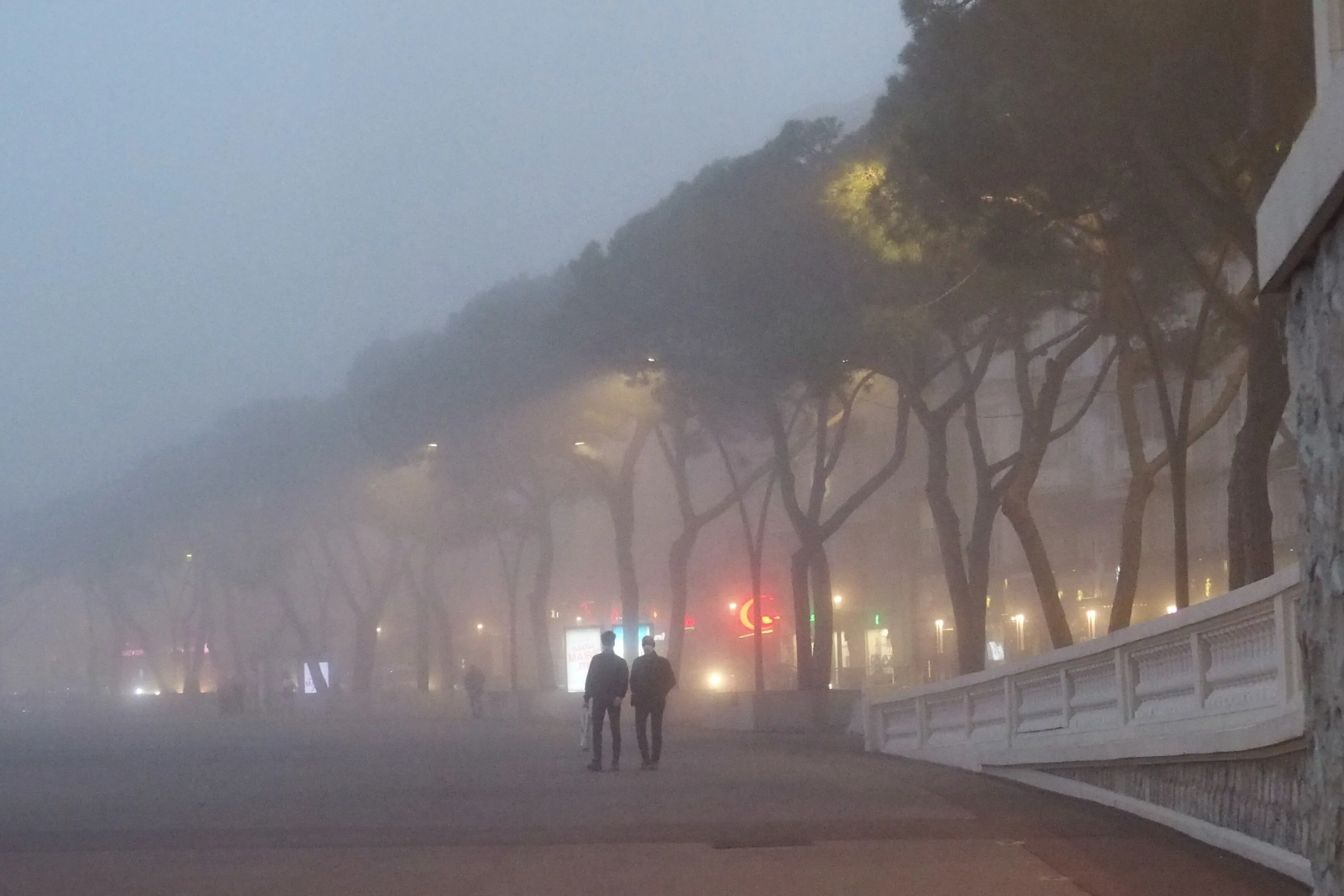 Fog in Monaco